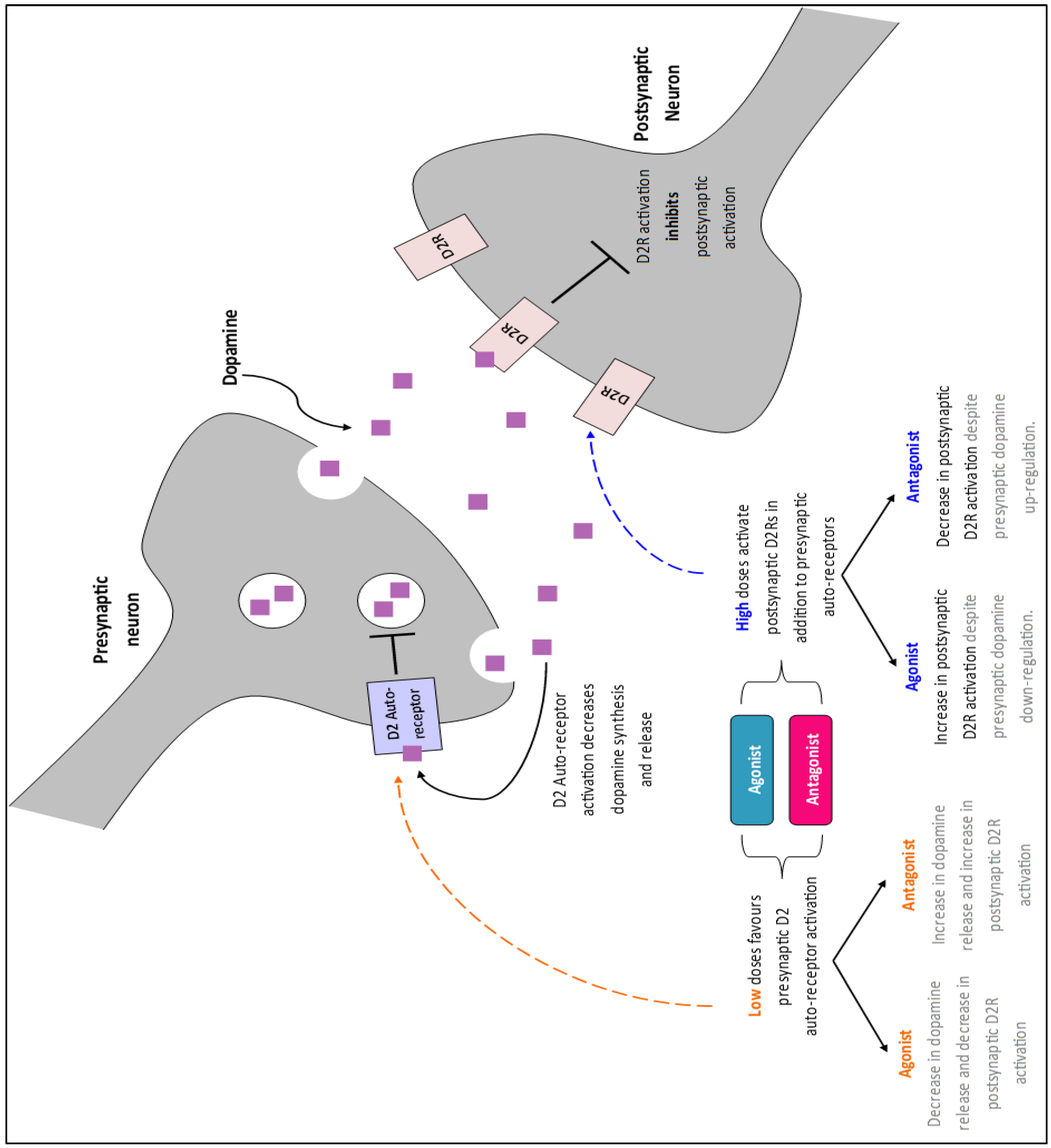 Brainsci 12 00351 g0a1