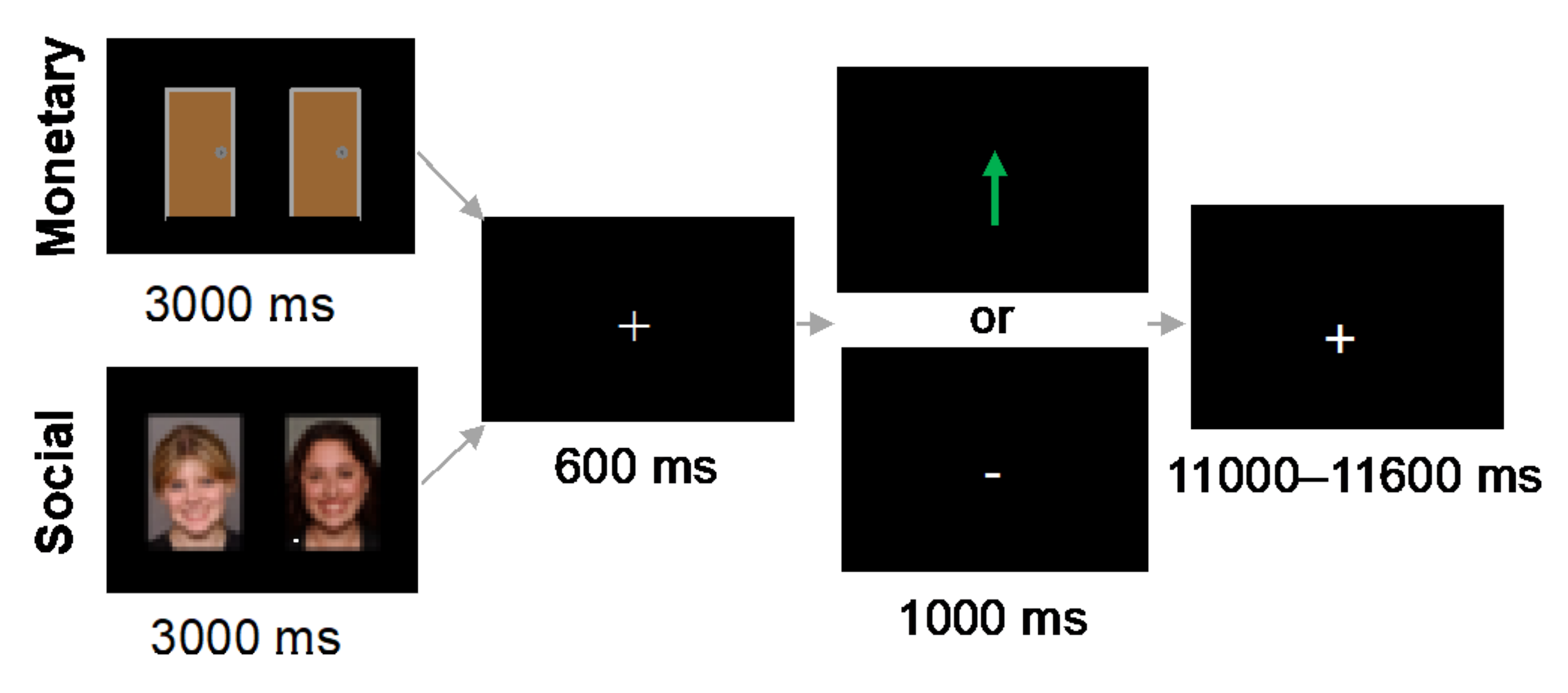 Brainsci 12 00352 g001