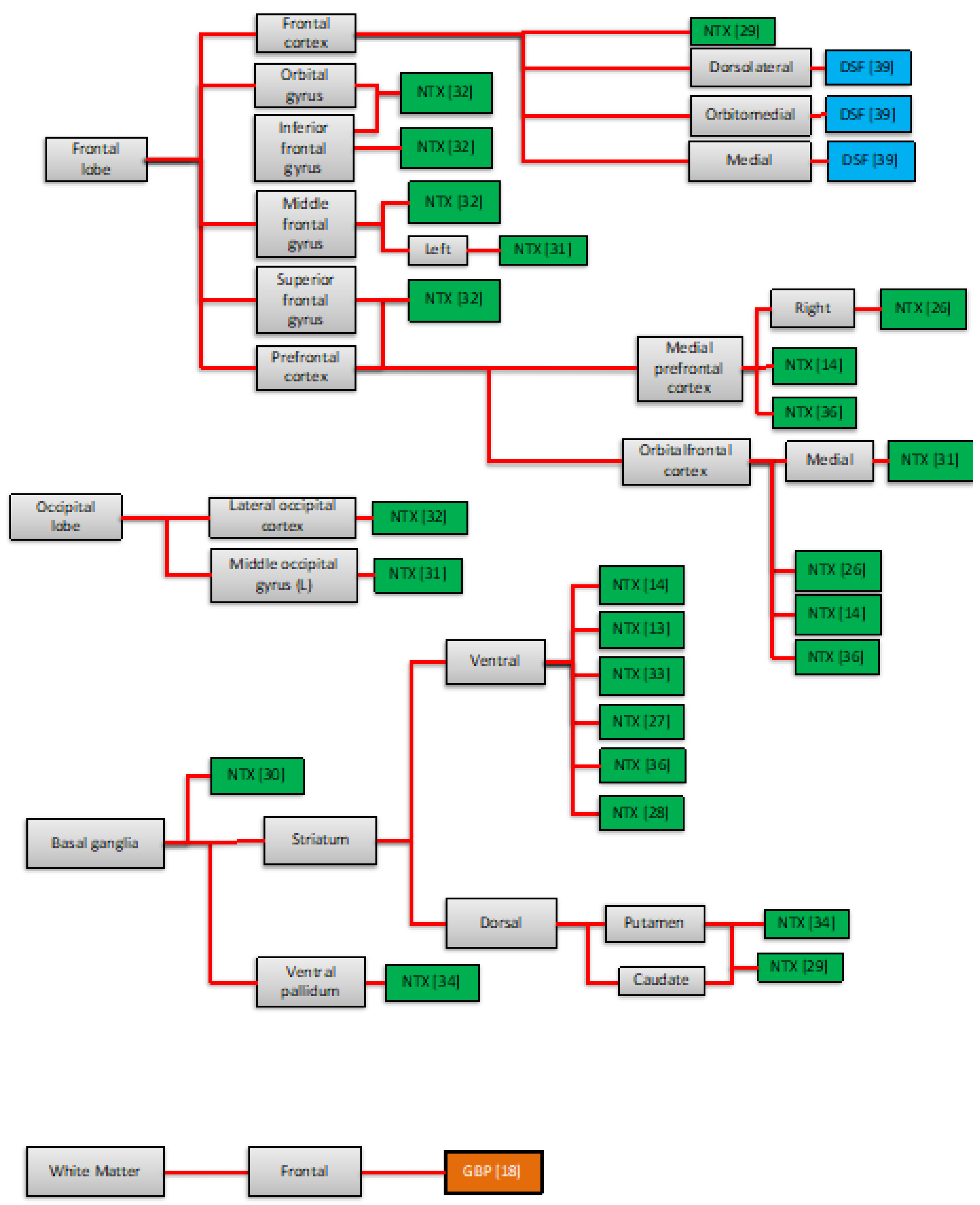 Brainsci 12 00386 g002b