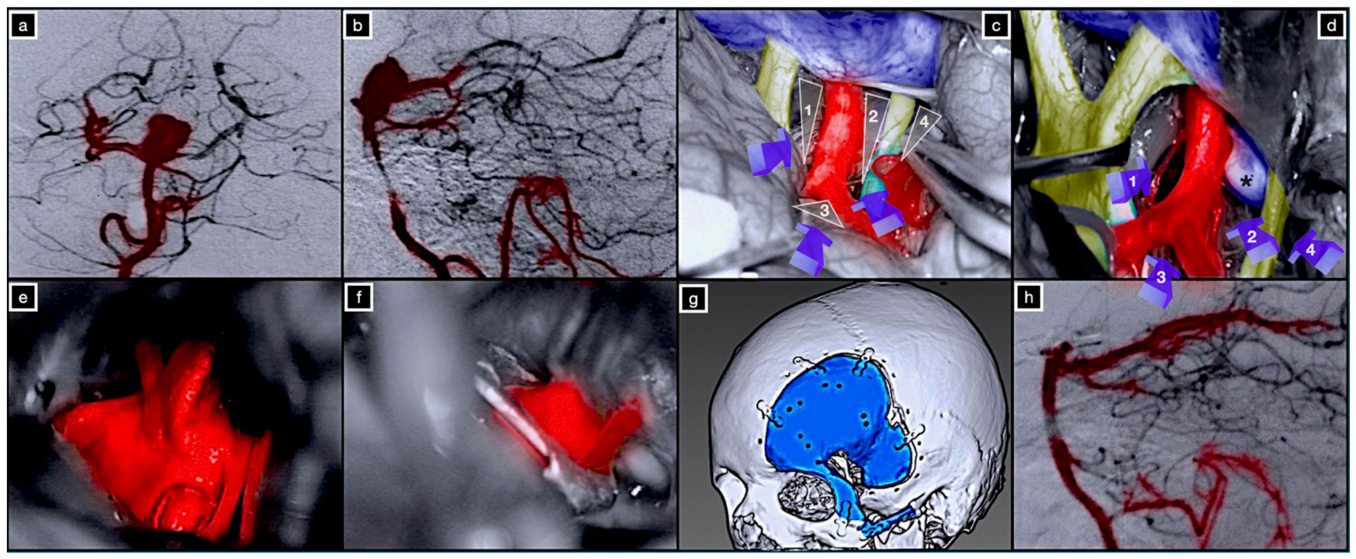 Brainsci 12 00405 g007