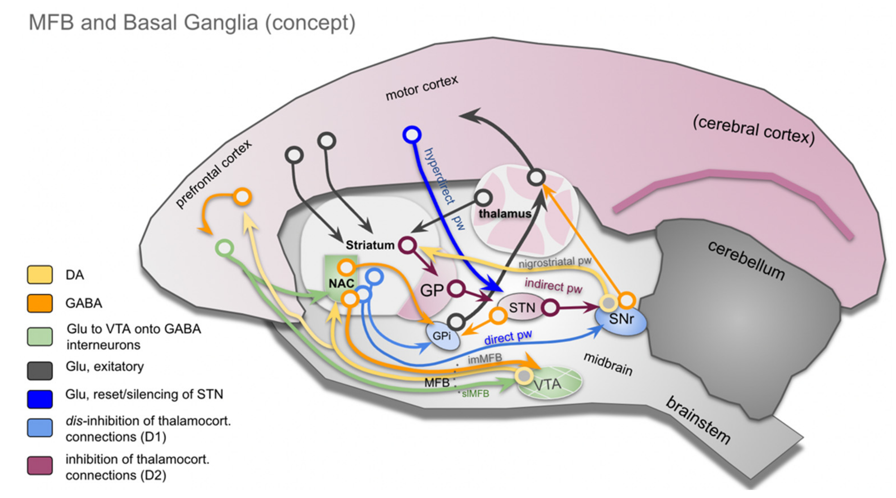 Brainsci 12 00438 g002 Brainsci 12 00438 g002