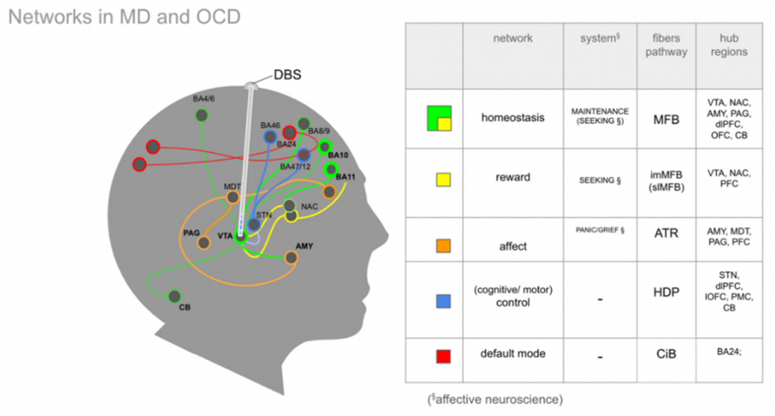 Brainsci 12 00438 g003 Brainsci 12 00438 g003