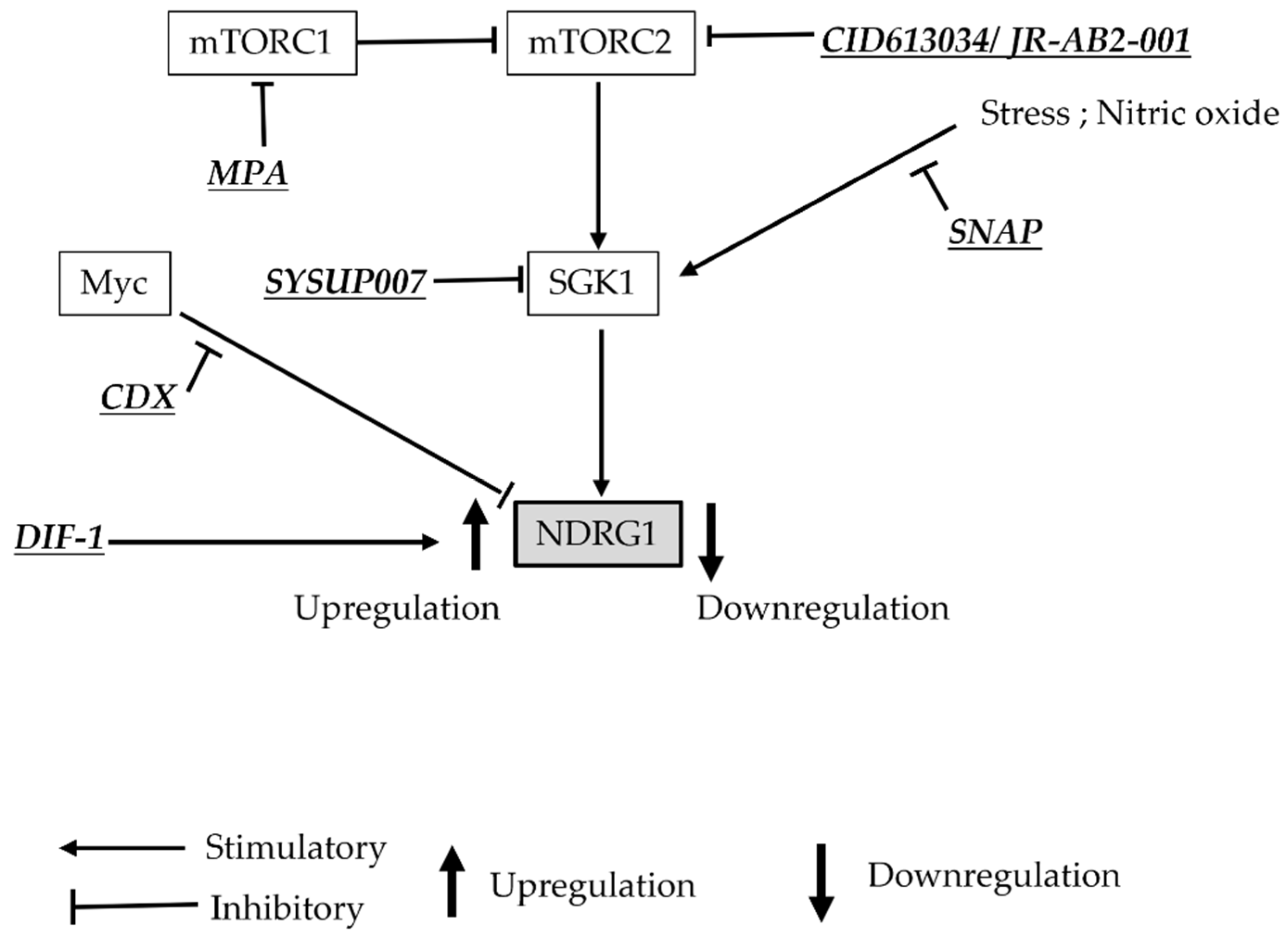 Brainsci 12 00473 g004
