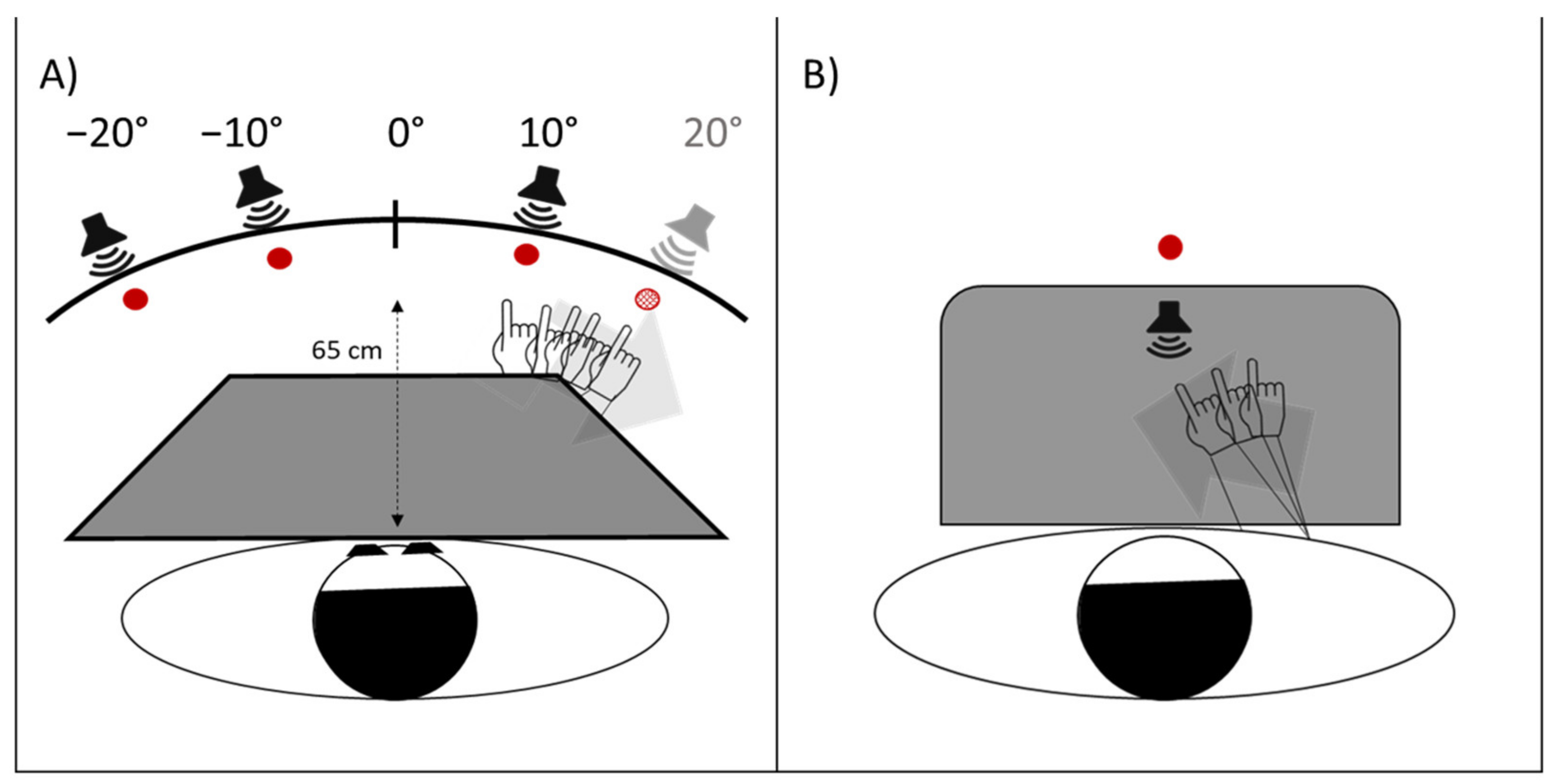 Brainsci 12 00480 g004 Brainsci 12 00480 g004