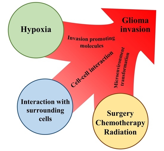 Brain Sciences Free Full Text Tumor Microenvironment In Glioma Invasion Html