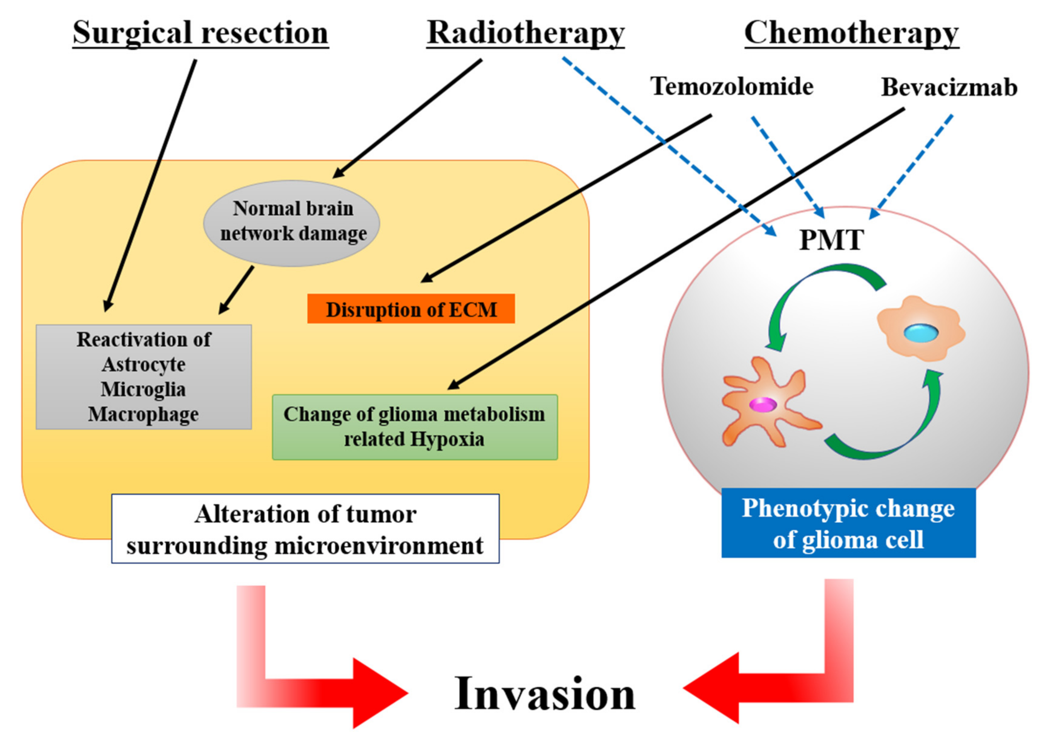 Brainsci 12 00505 g006 Brainsci 12 00505 g006
