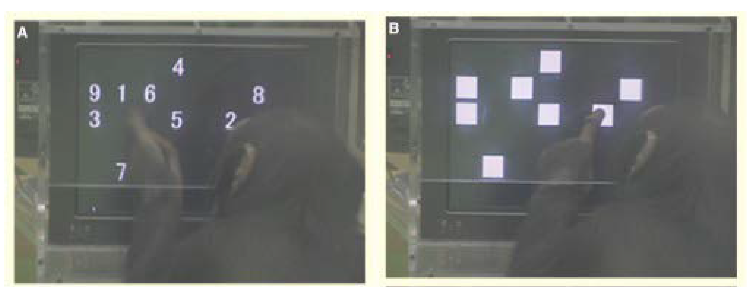 Brainsci 12 00547 g014 Brainsci 12 00547 g014