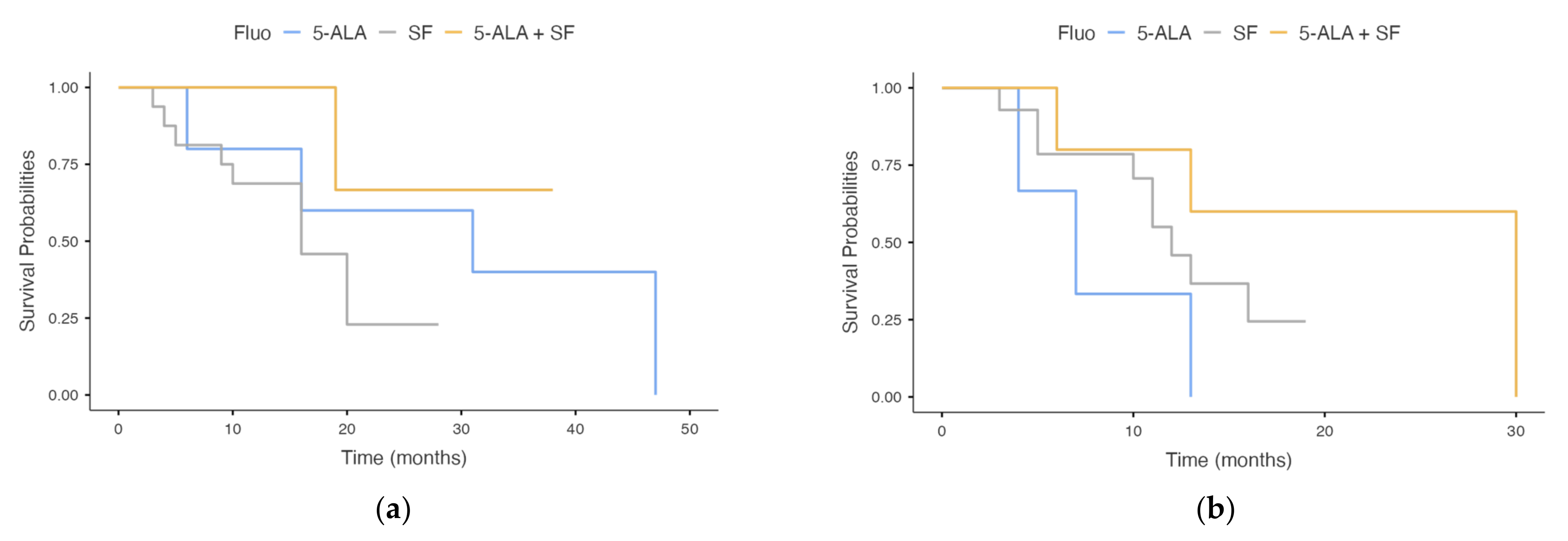Brainsci 12 00555 g003