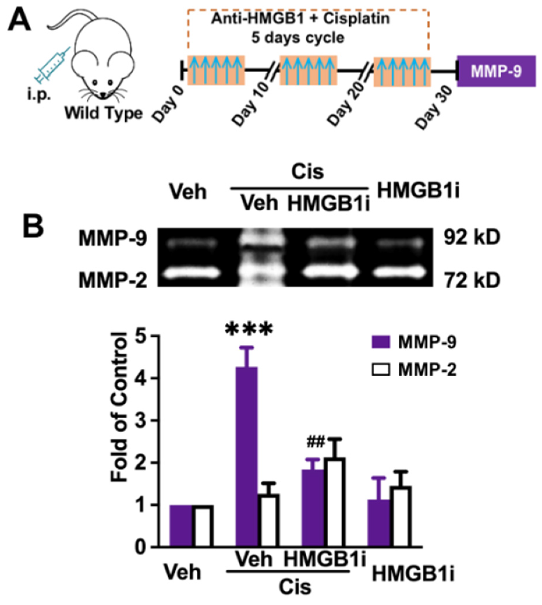 Brainsci 12 00571 g003