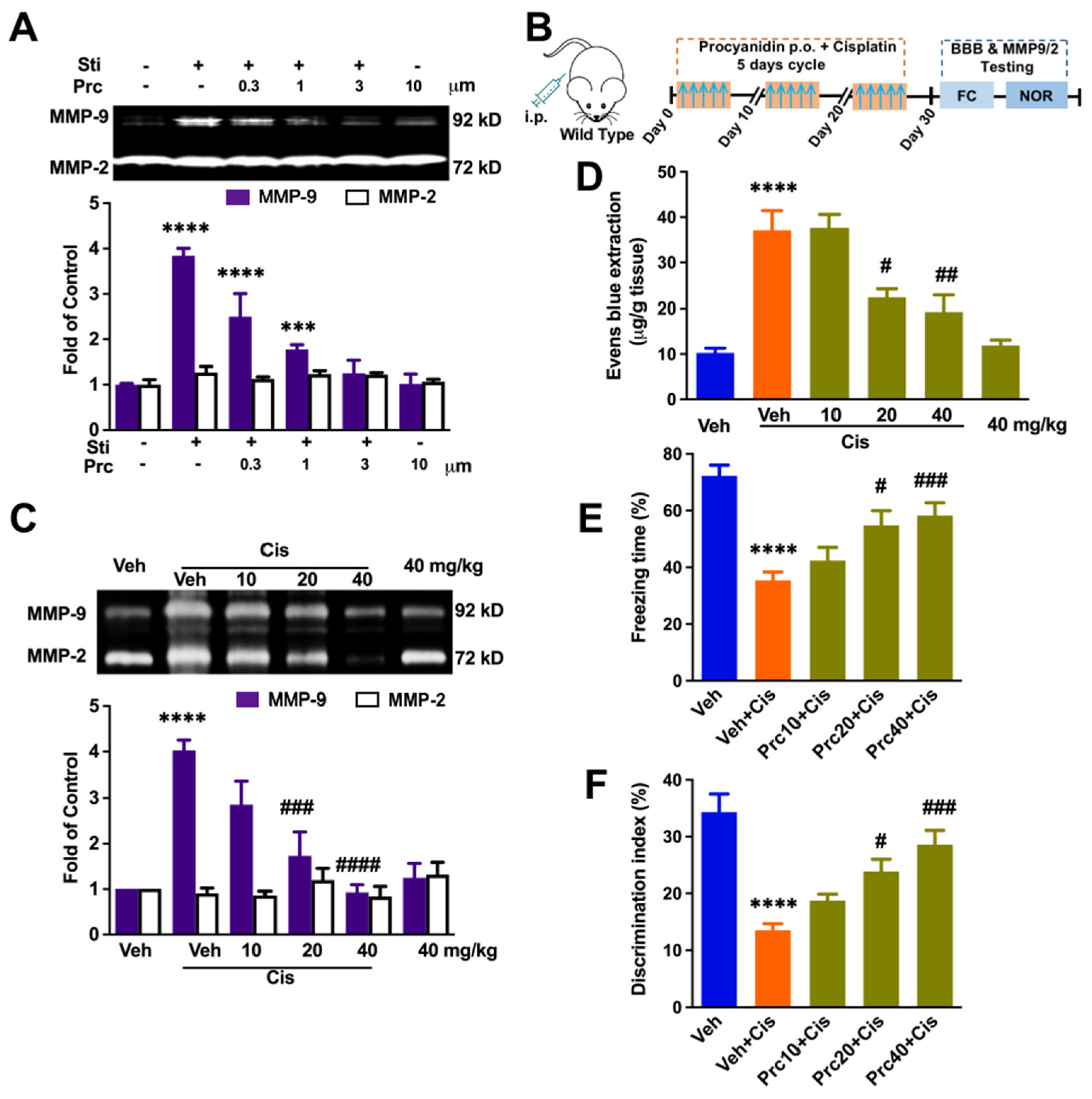 Brainsci 12 00571 g005
