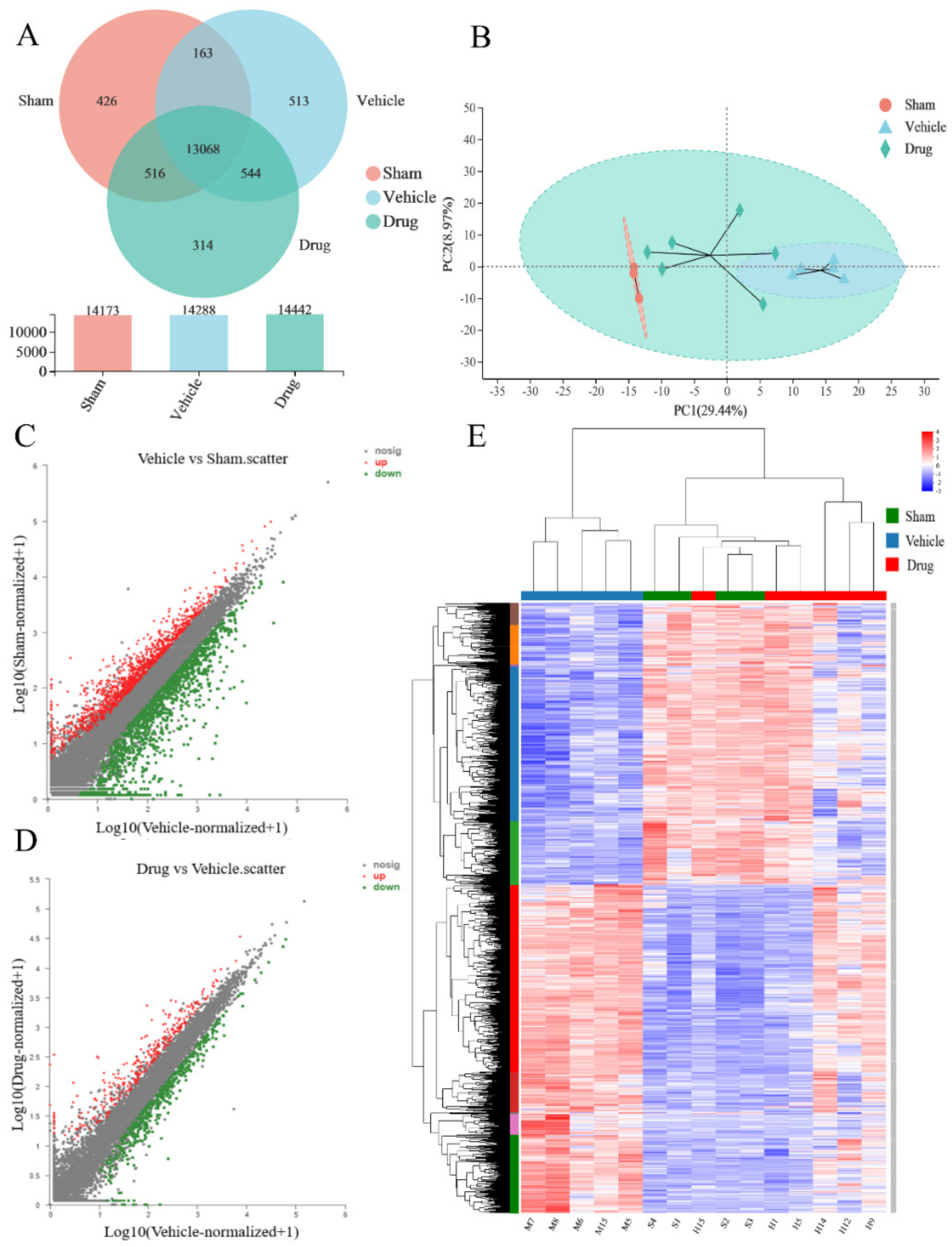 Brainsci 12 00572 g002