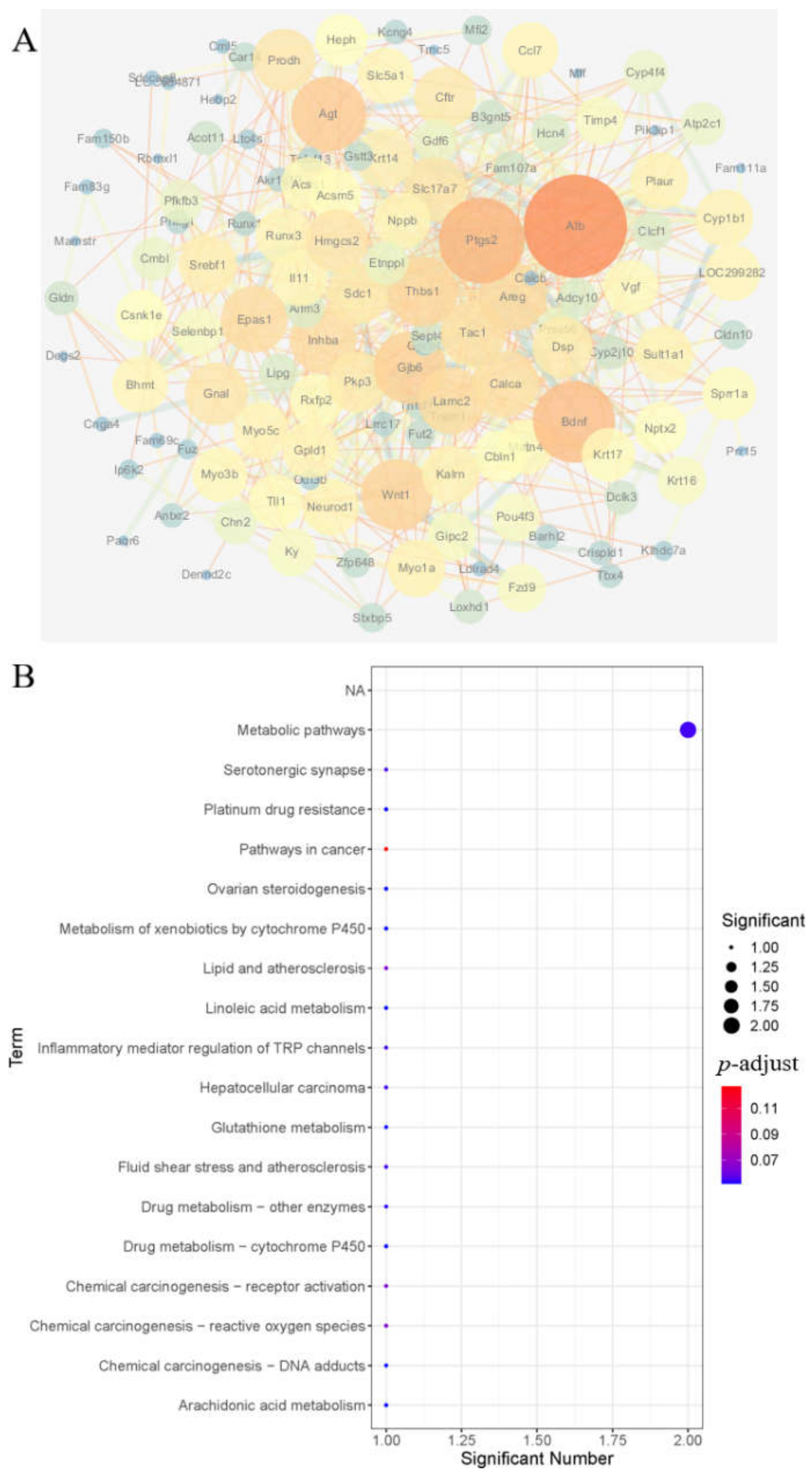 Brainsci 12 00572 g004