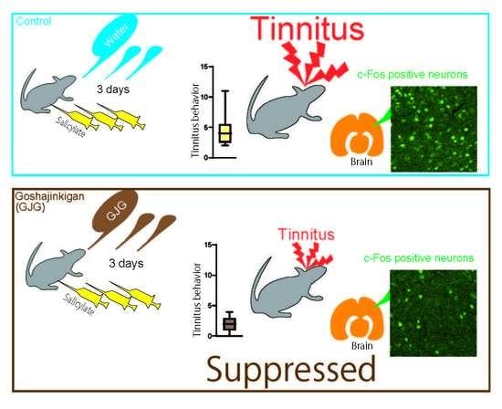 Brain Sciences Free Full Text Behavioral And Immunohistochemical Evidence For Suppressive Effects Of Goshajinkigan On Salicylate Induced Tinnitus In Rats