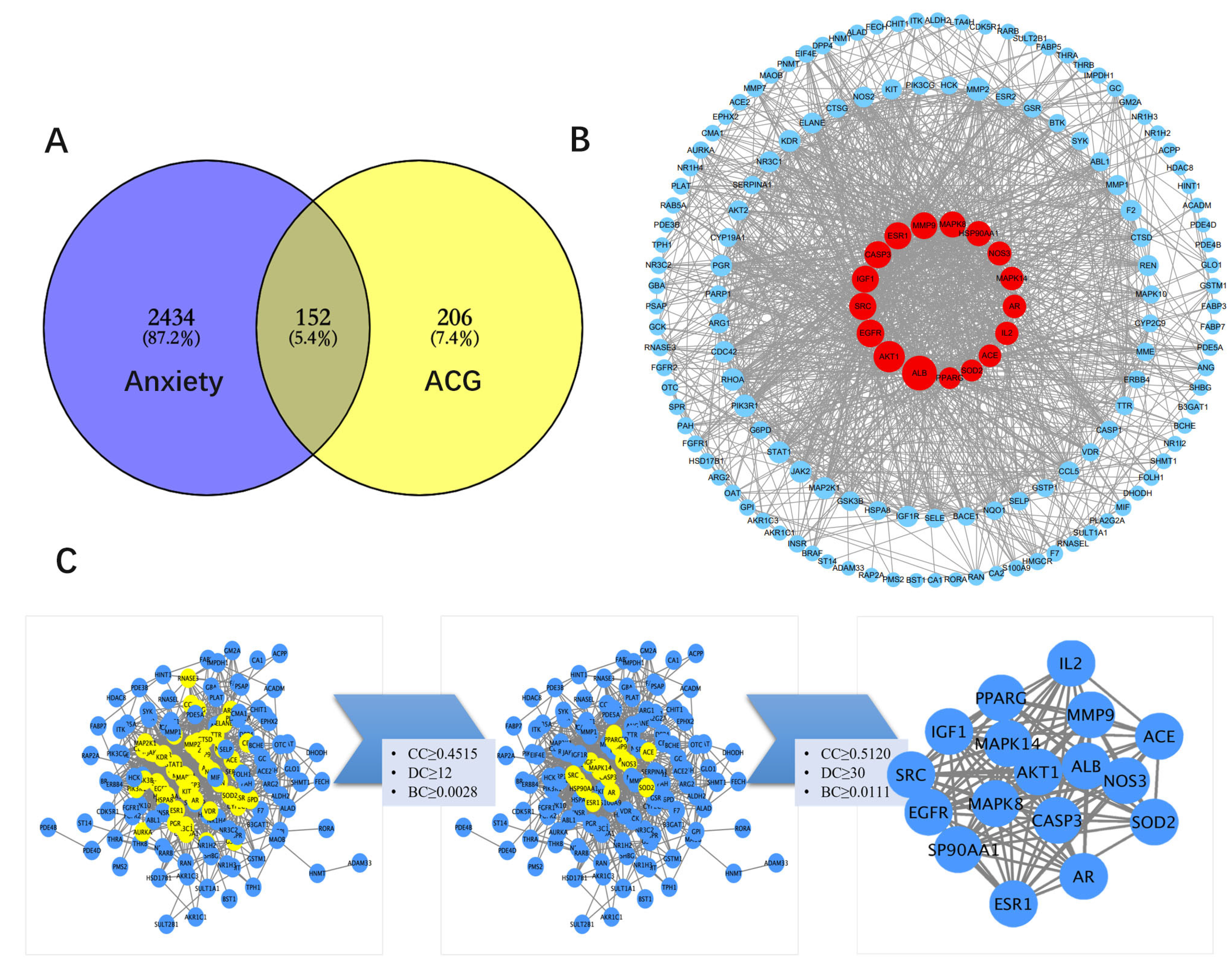 Brainsci 12 00589 g003