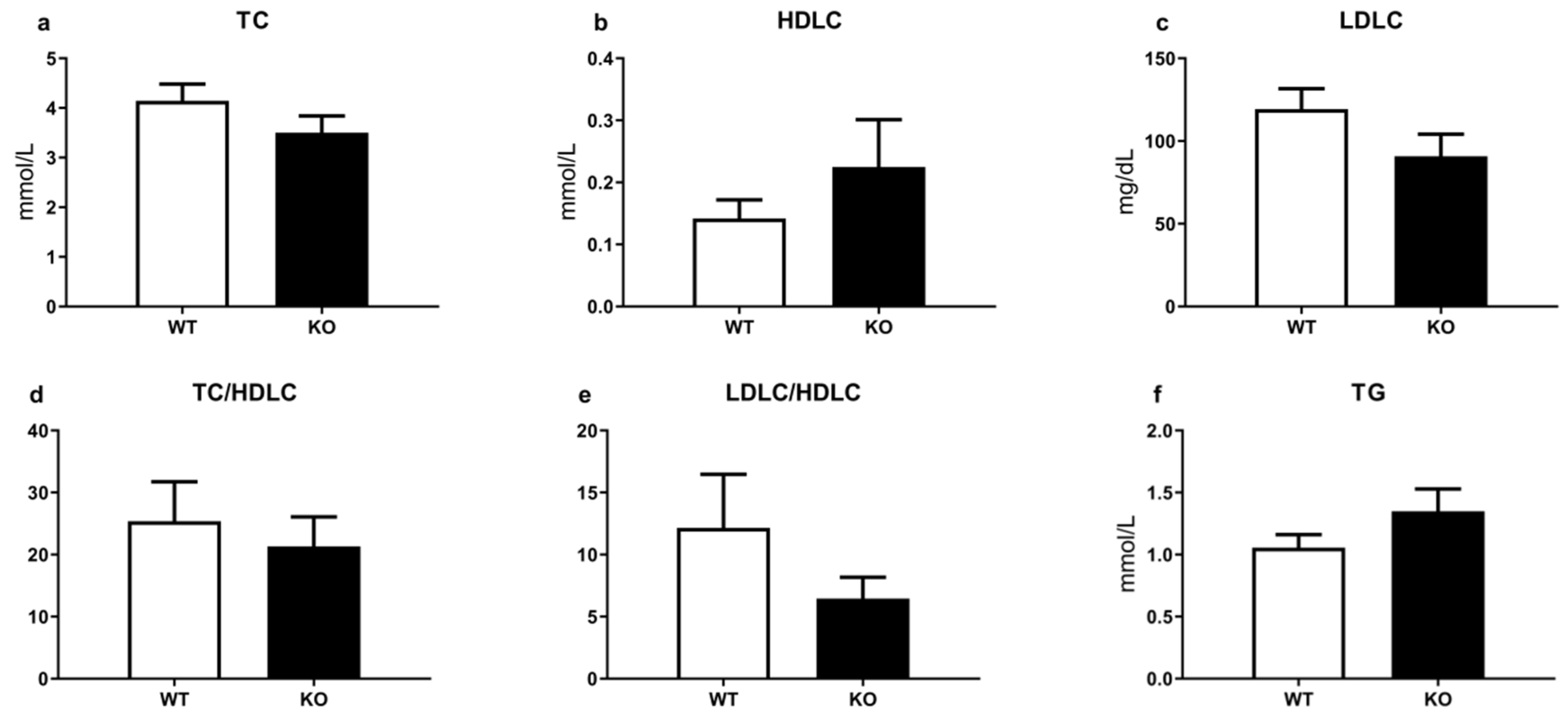 Brainsci 12 00614 g004