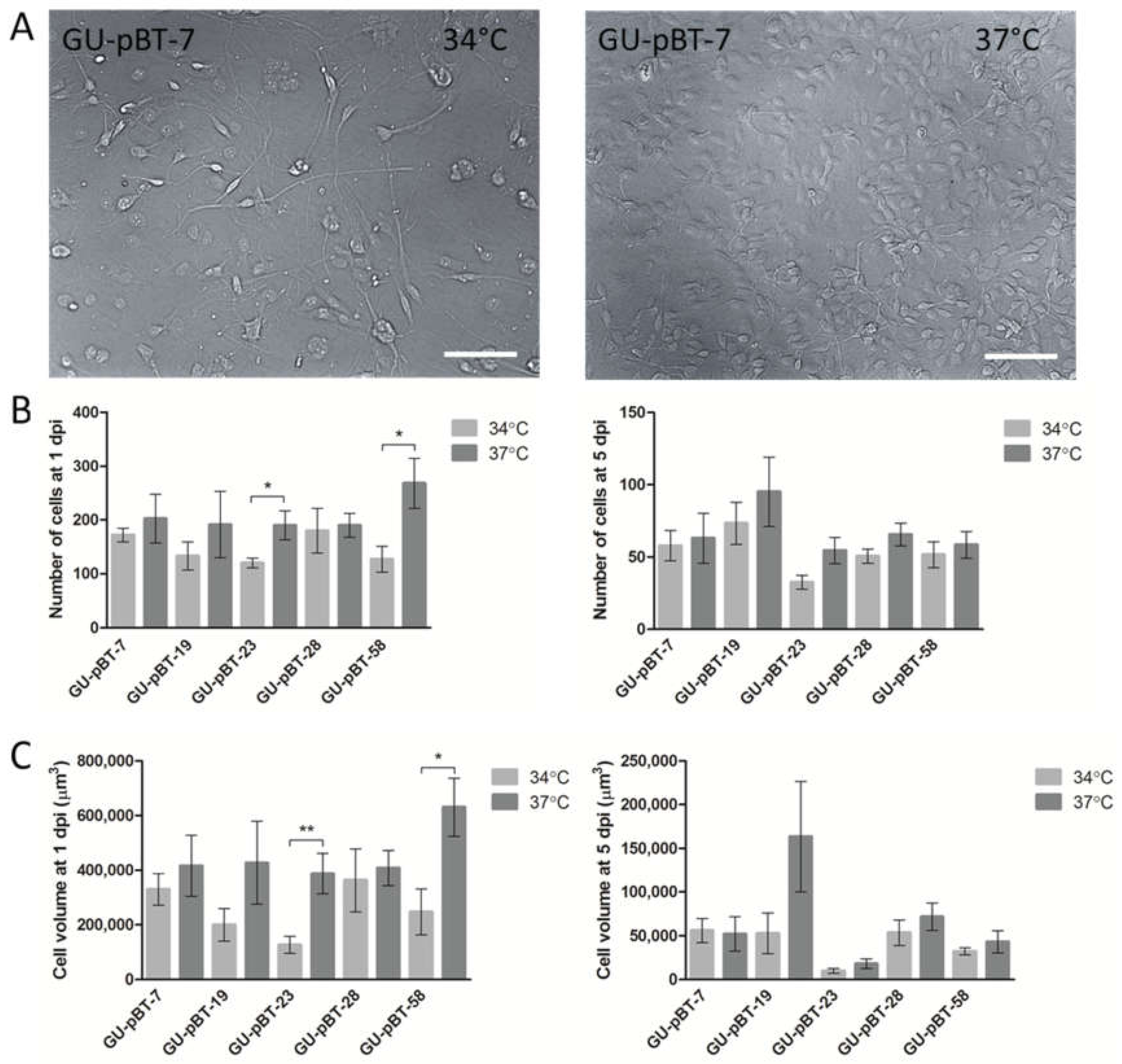 Brainsci 12 00625 g002 Brainsci 12 00625 g002