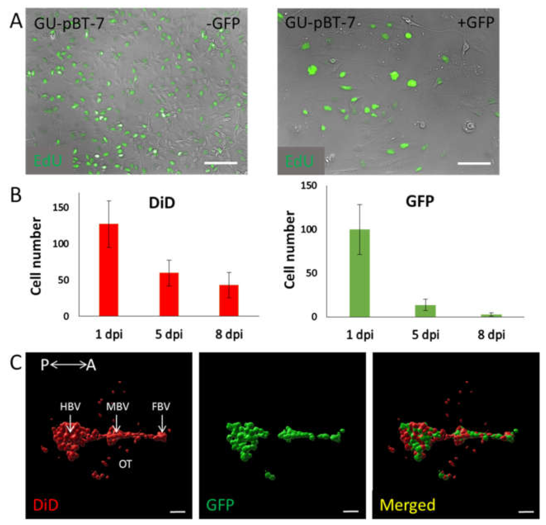 Brainsci 12 00625 g003 Brainsci 12 00625 g003