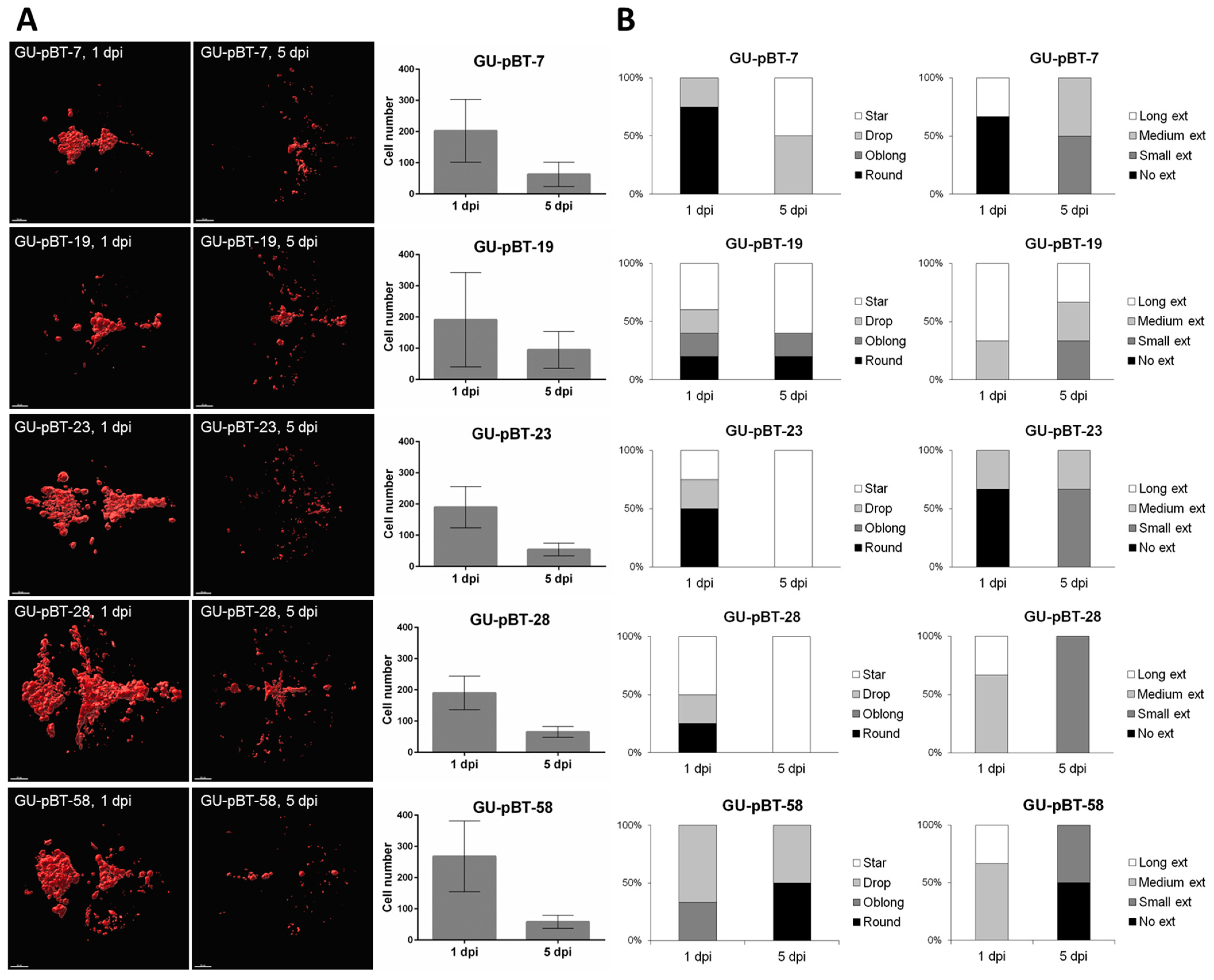 Brainsci 12 00625 g004 Brainsci 12 00625 g004