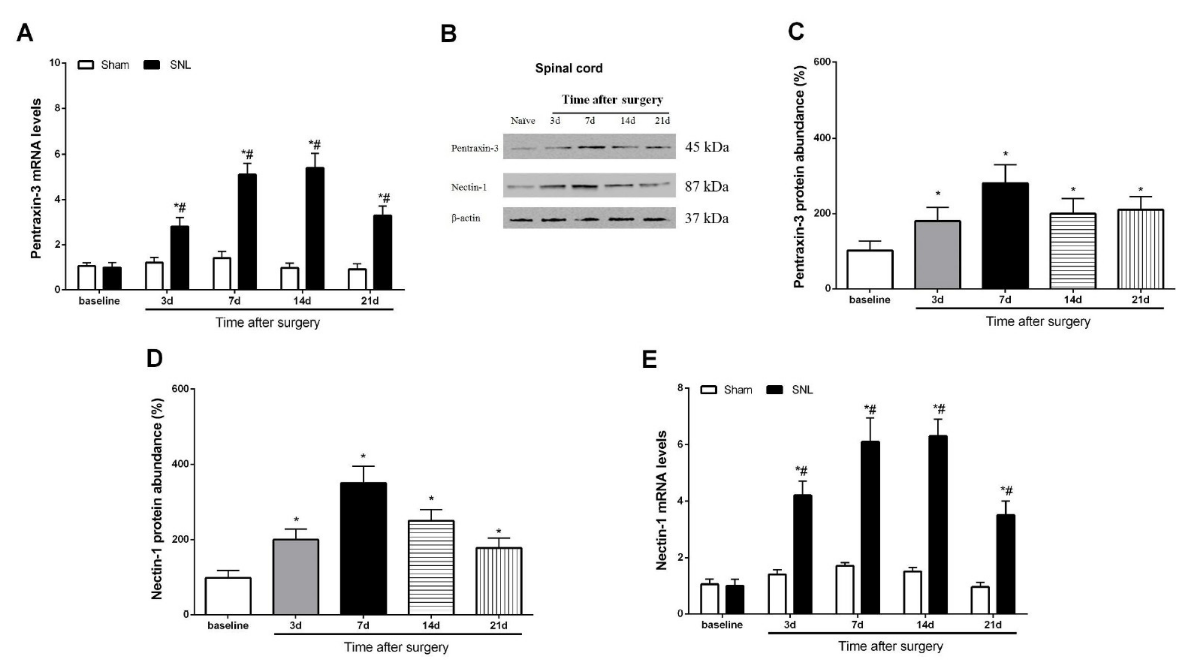 Brainsci 12 00648 g002 Brainsci 12 00648 g002