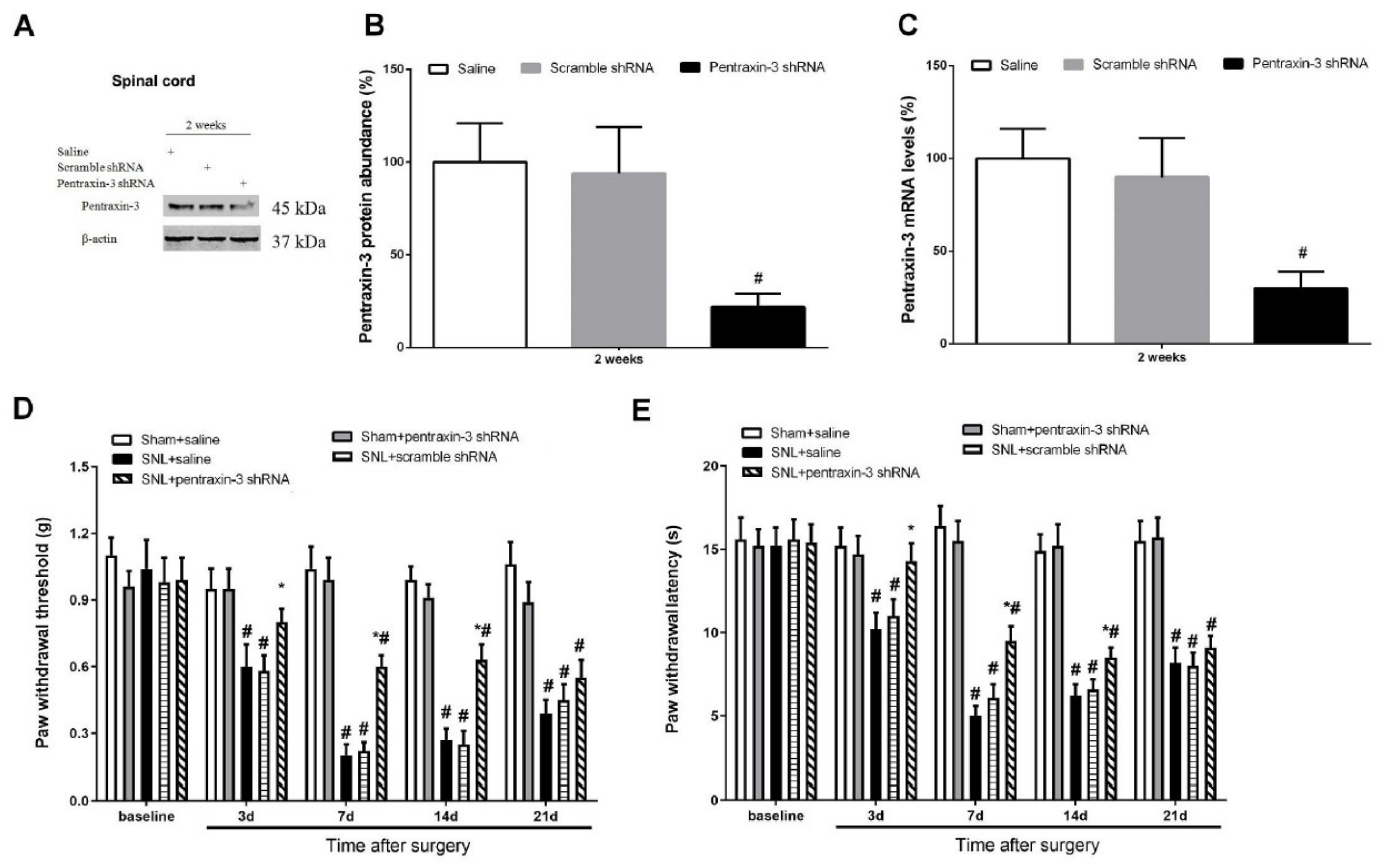 Brainsci 12 00648 g003 Brainsci 12 00648 g003