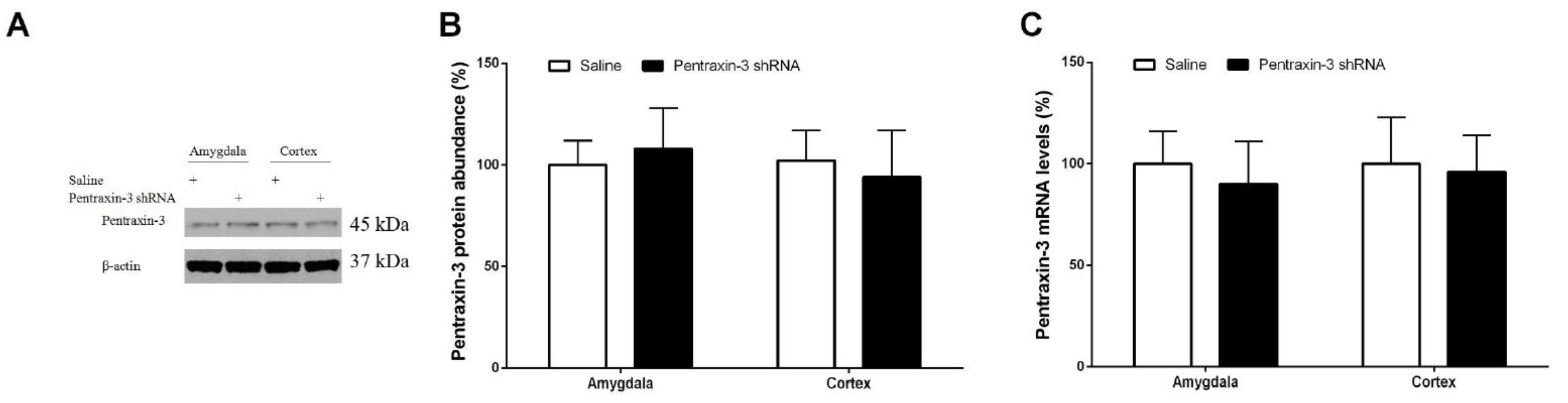 Brainsci 12 00648 g005 Brainsci 12 00648 g005
