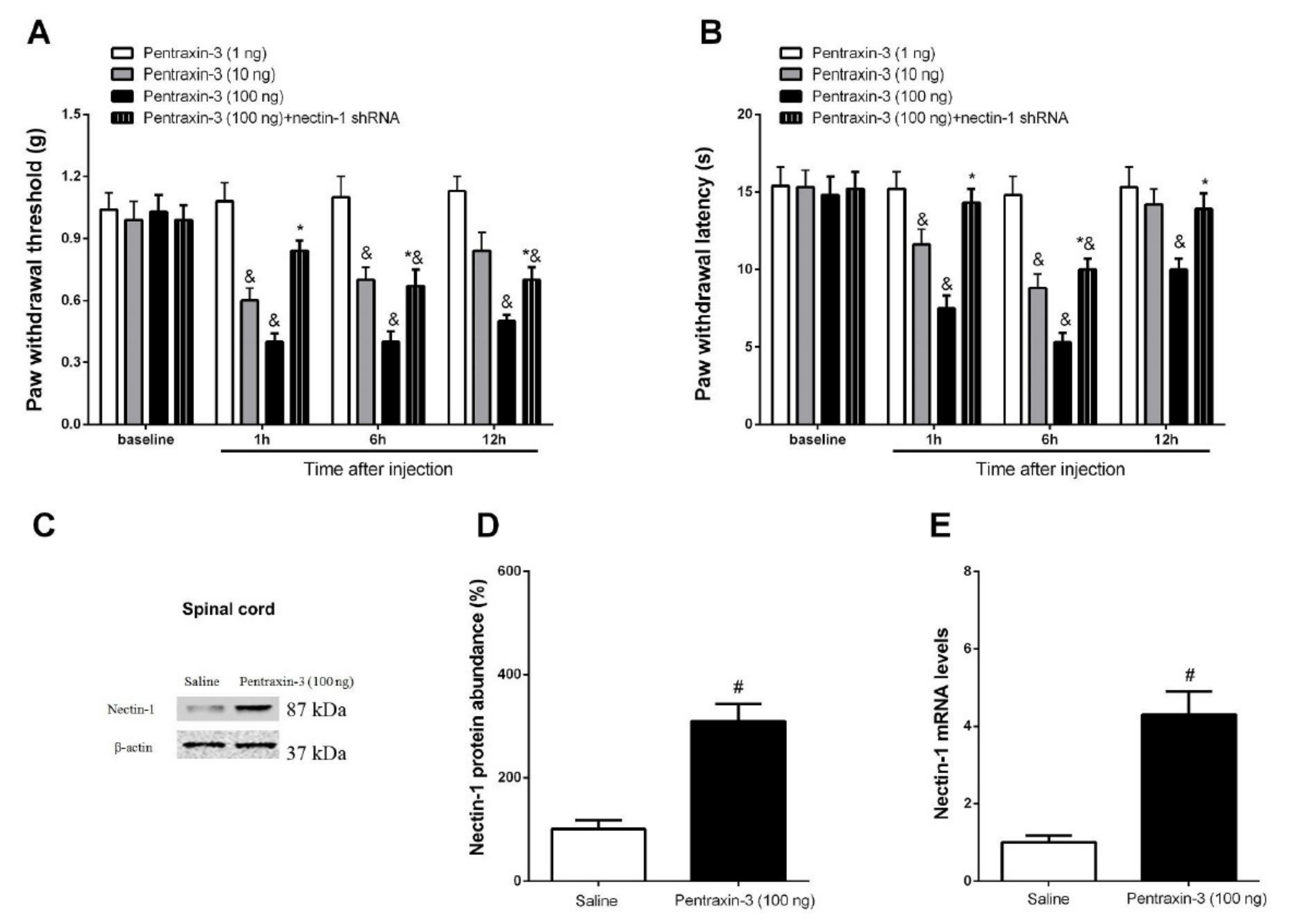Brainsci 12 00648 g008 Brainsci 12 00648 g008
