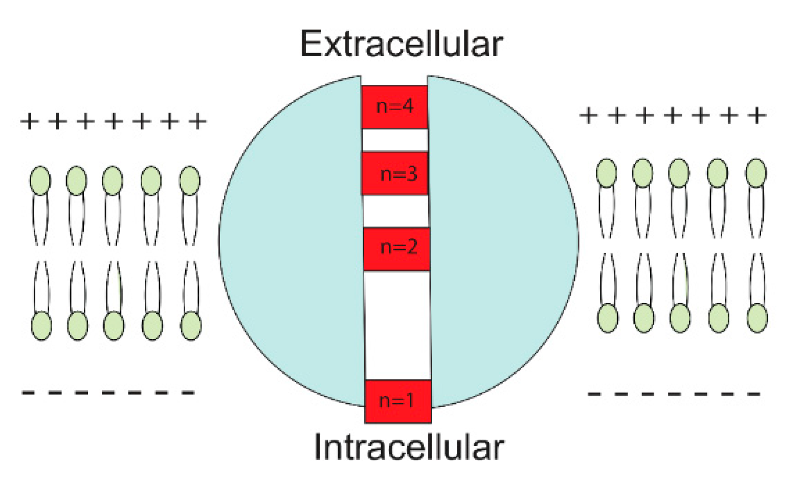 Brainsci 12 00658 g003 Brainsci 12 00658 g003