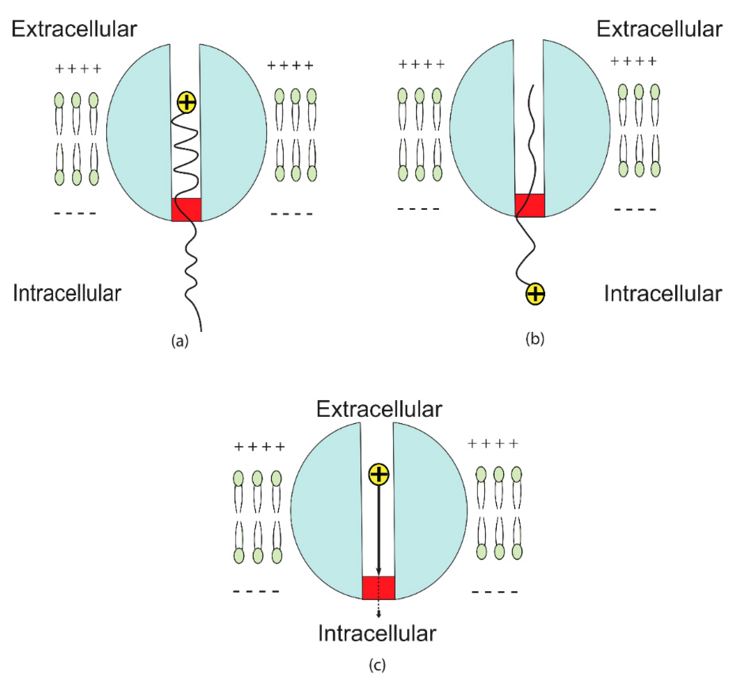 Brainsci 12 00658 g004 Brainsci 12 00658 g004