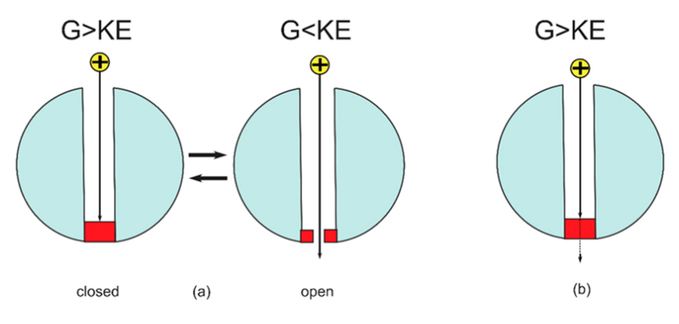 Brainsci 12 00658 g007 Brainsci 12 00658 g007