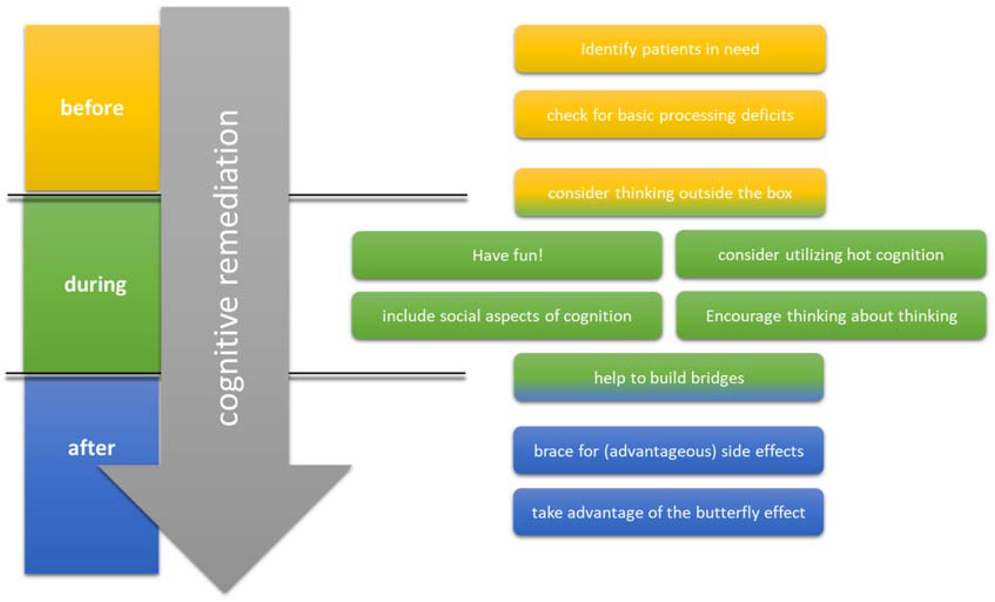 Brain Sciences | Free Full-Text | Cognitive Remediation In Psychiatric ...