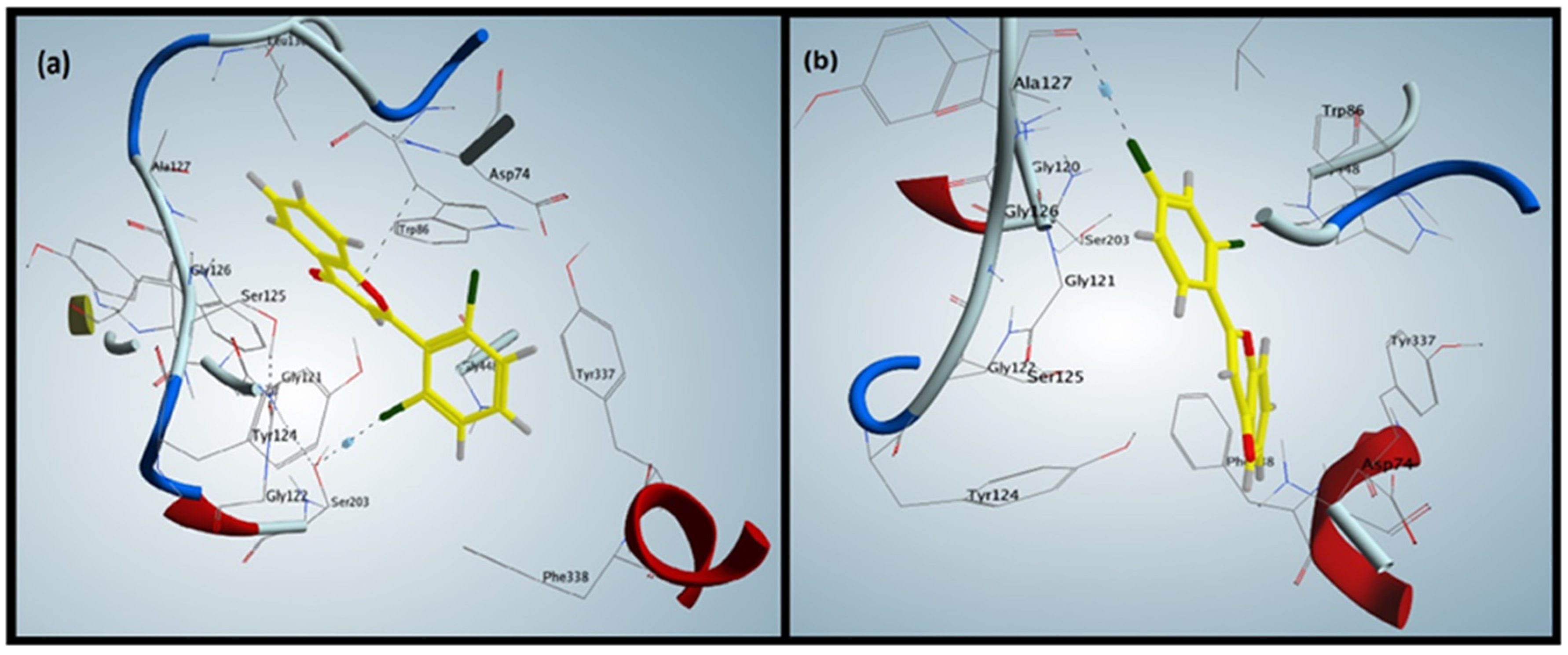 Brainsci 12 00731 g001