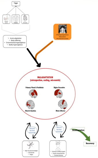 Brain Sciences, Free Full-Text