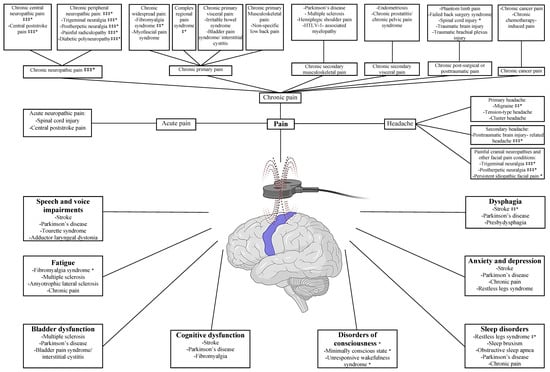 https://www.mdpi.com/brainsci/brainsci-12-00761/article_deploy/html/images/brainsci-12-00761-g001-550.jpg