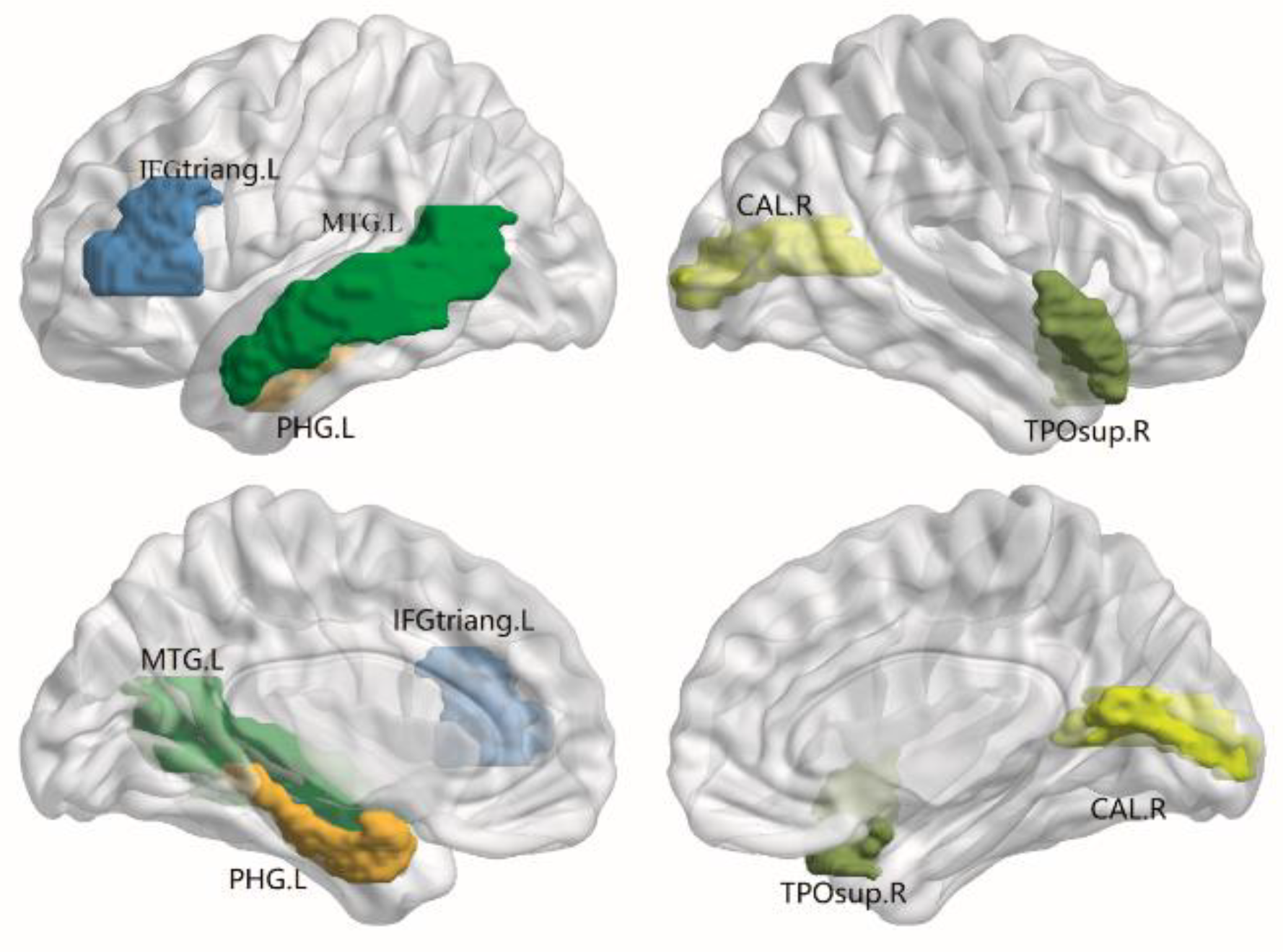 Brainsci 12 00784 g002