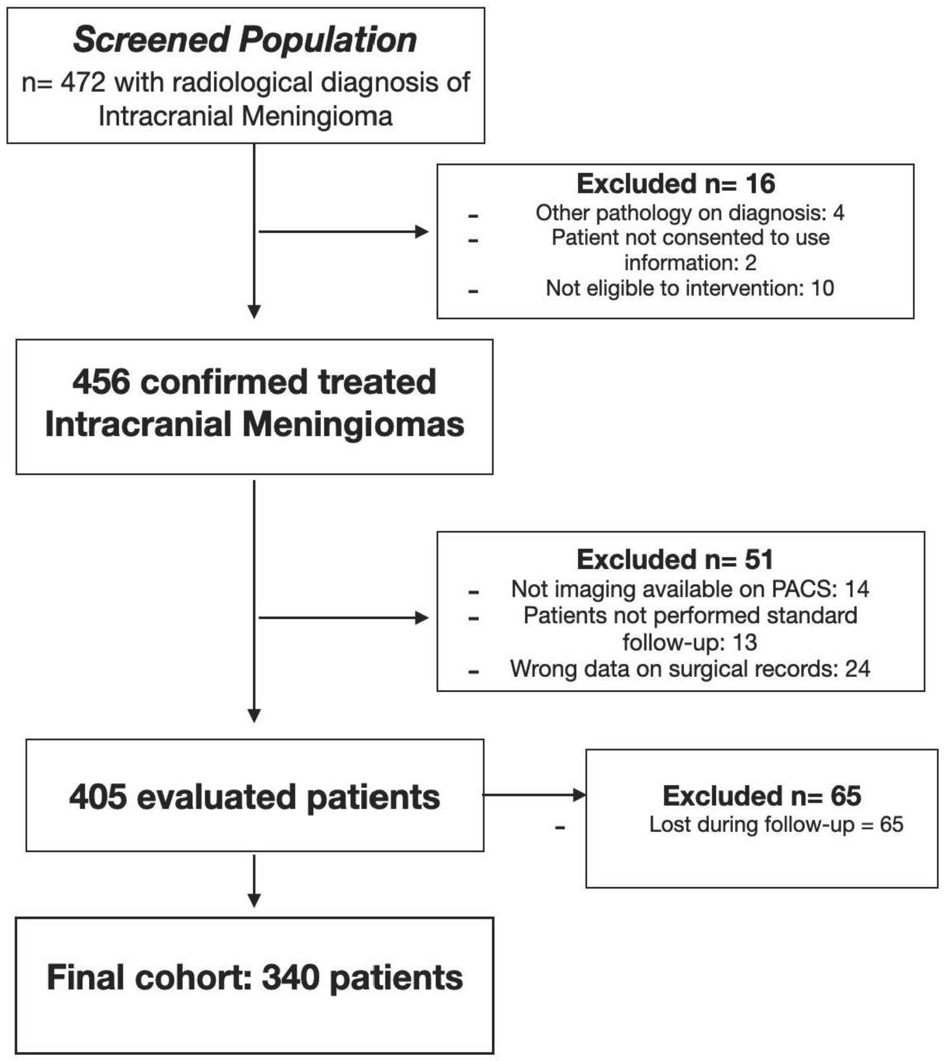 Brainsci 12 00817 g003 Brainsci 12 00817 g003