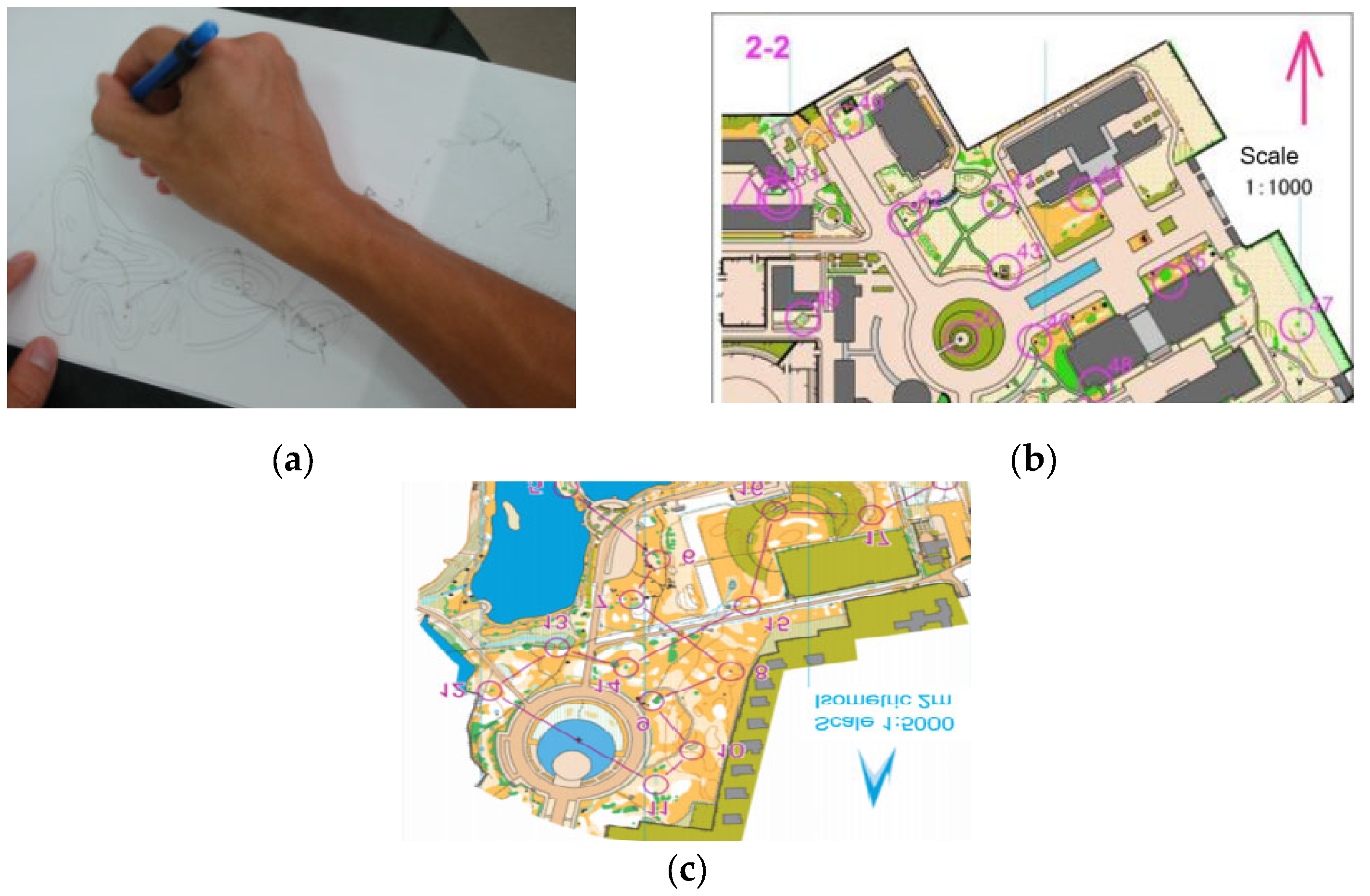 Brain Sciences Free Full-Text Shedding Light on the Effects of Orienteering Exercise on Spatial Memory Performance in College Students of Different Genders An fNIRS Study