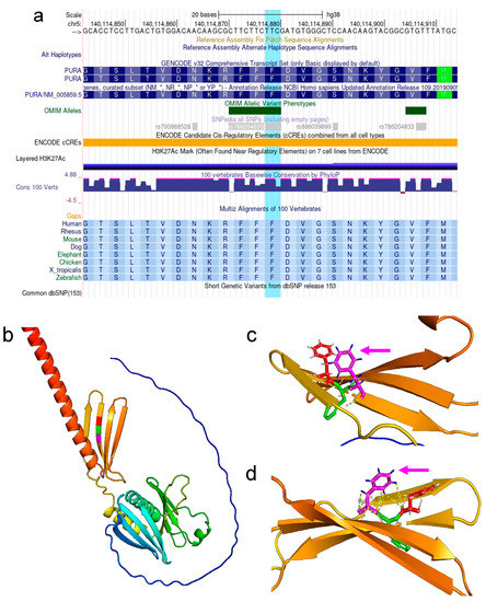 Brain Sciences | Free Full-Text | Structural Protein Effects