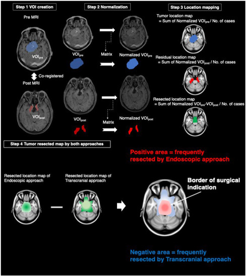 Brain Sciences, Free Full-Text