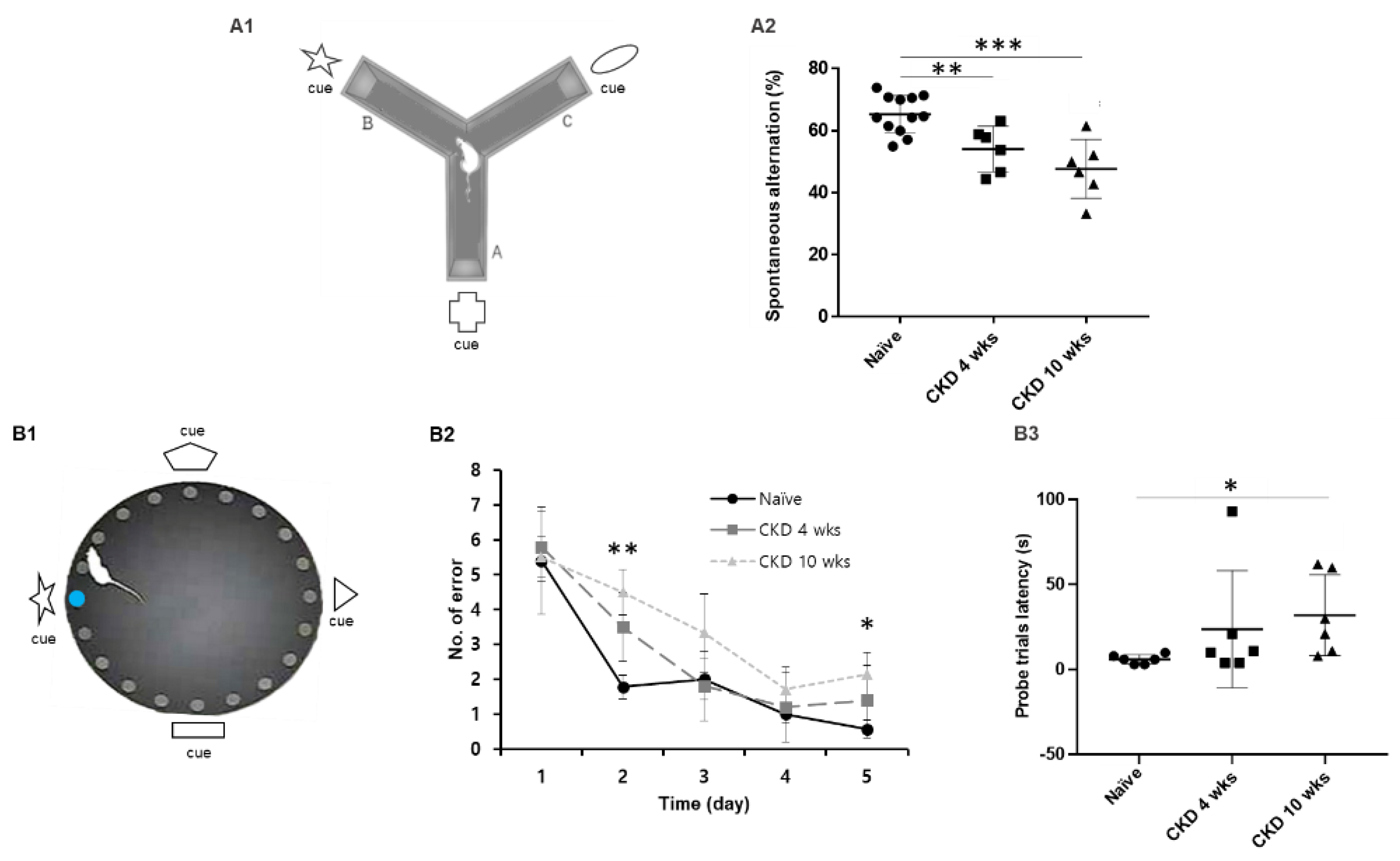 Brainsci 12 00905 g002 Brainsci 12 00905 g002