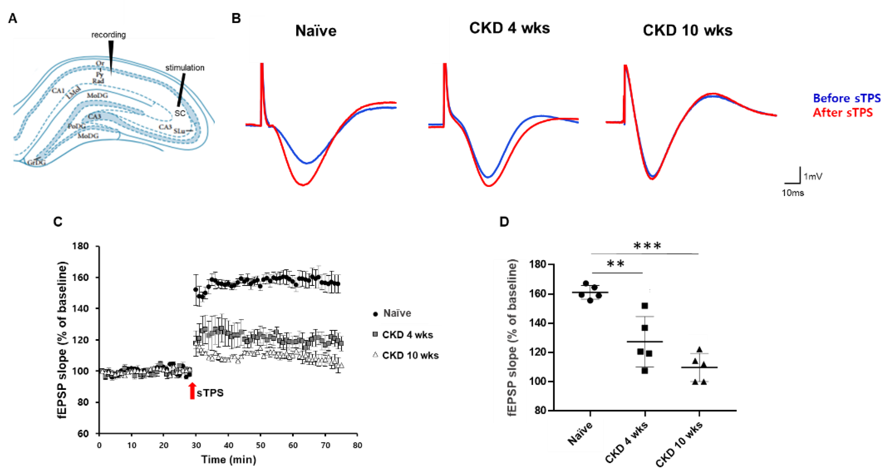 Brainsci 12 00905 g004 Brainsci 12 00905 g004