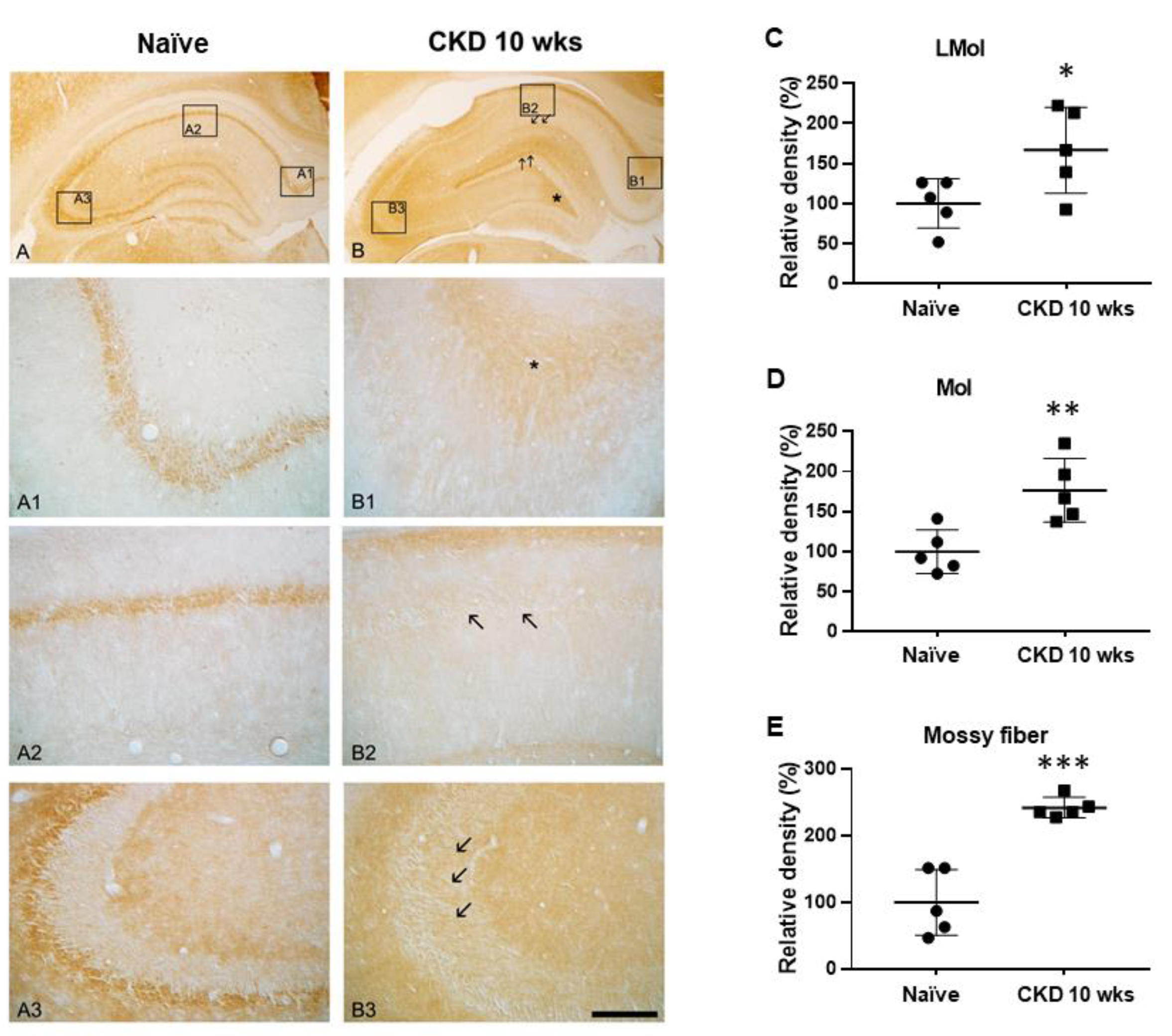 Brainsci 12 00905 g005 Brainsci 12 00905 g005
