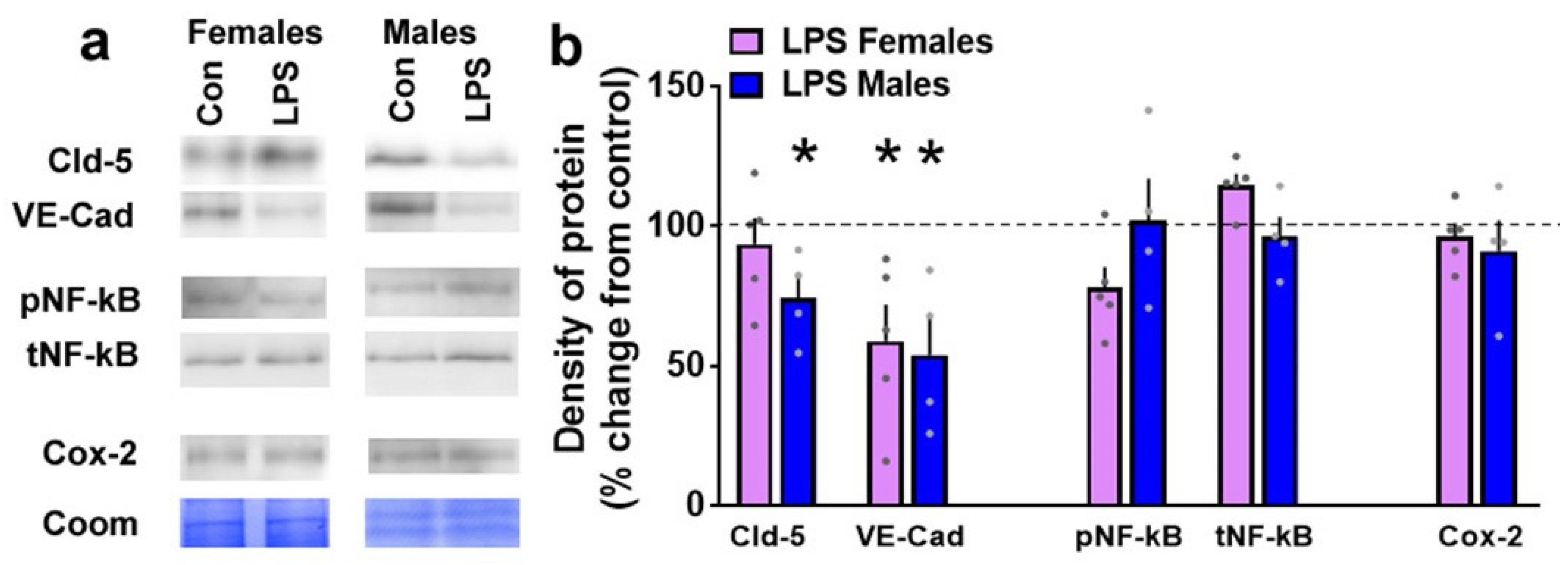 Brainsci 12 00972 g008