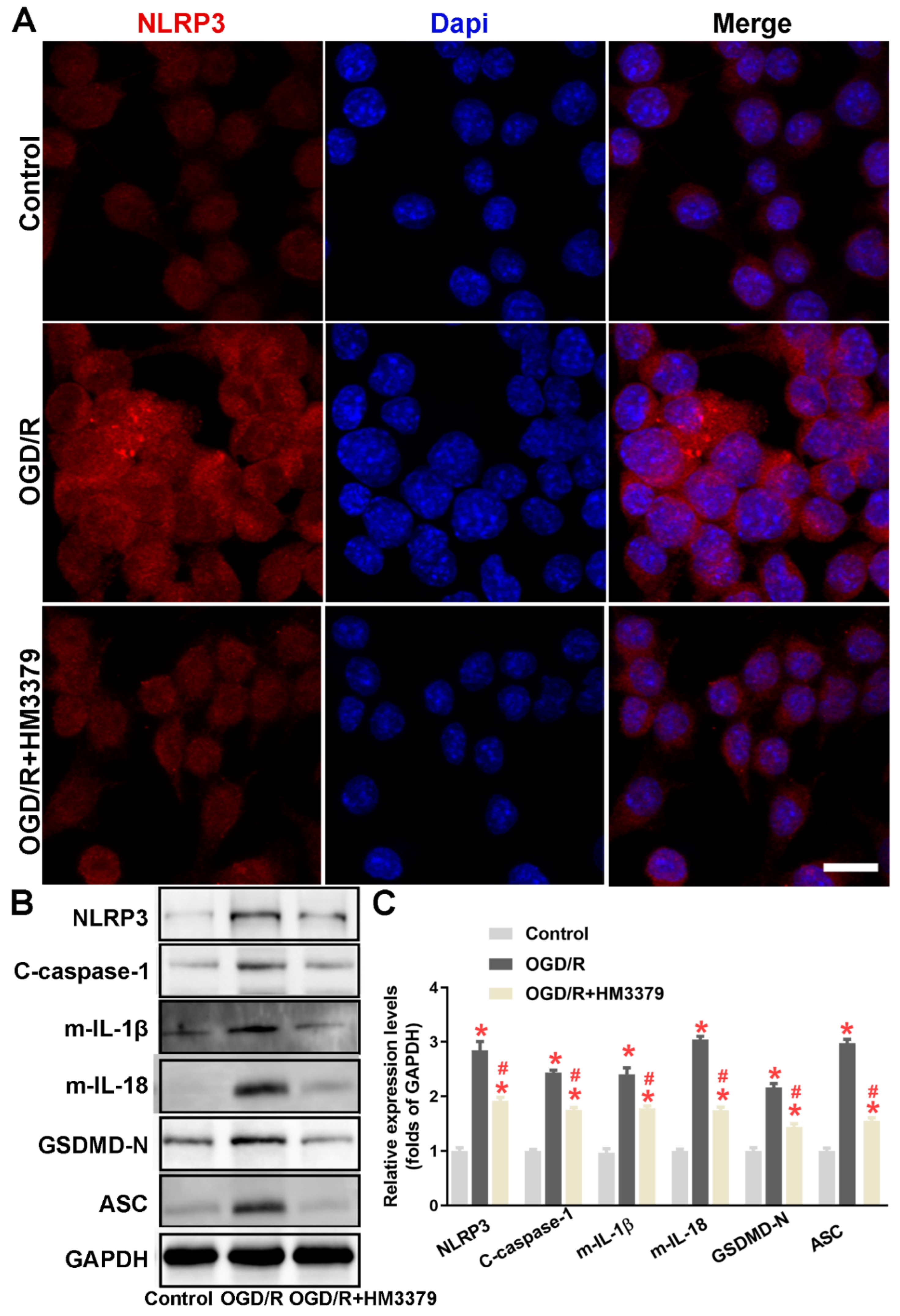 Brainsci 12 00976 g004