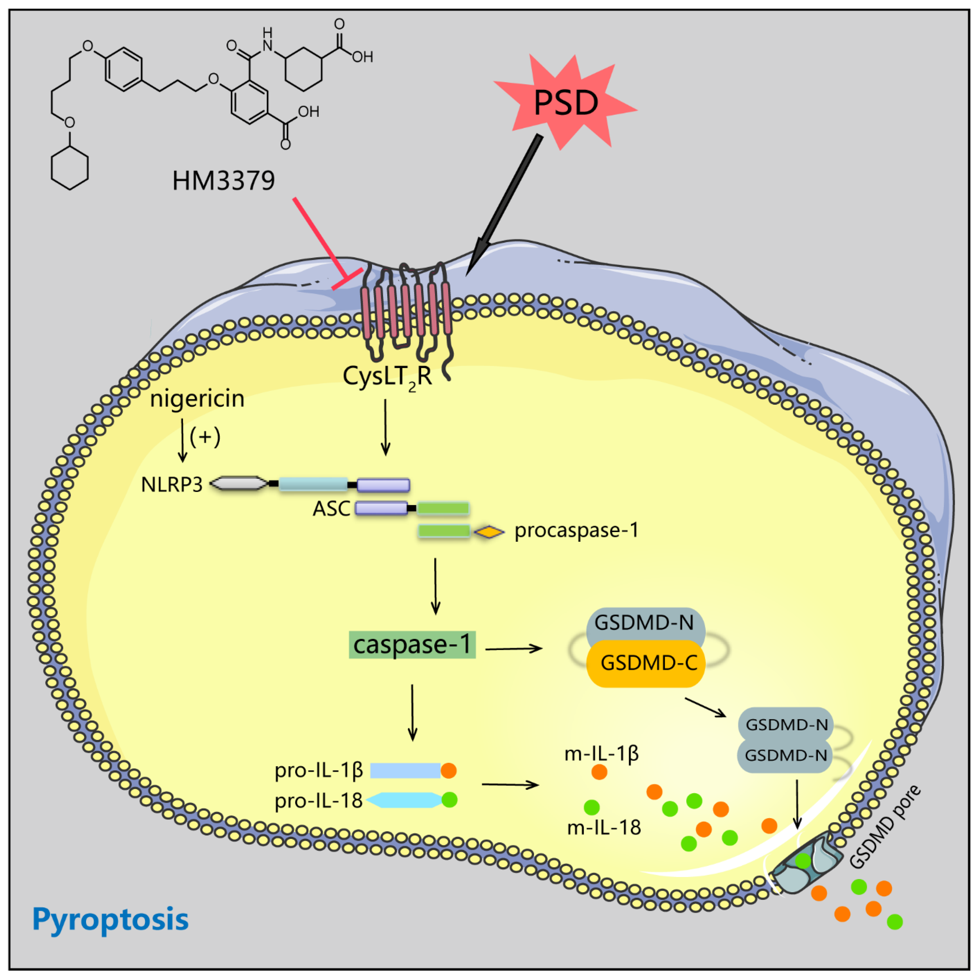 Brainsci 12 00976 g007