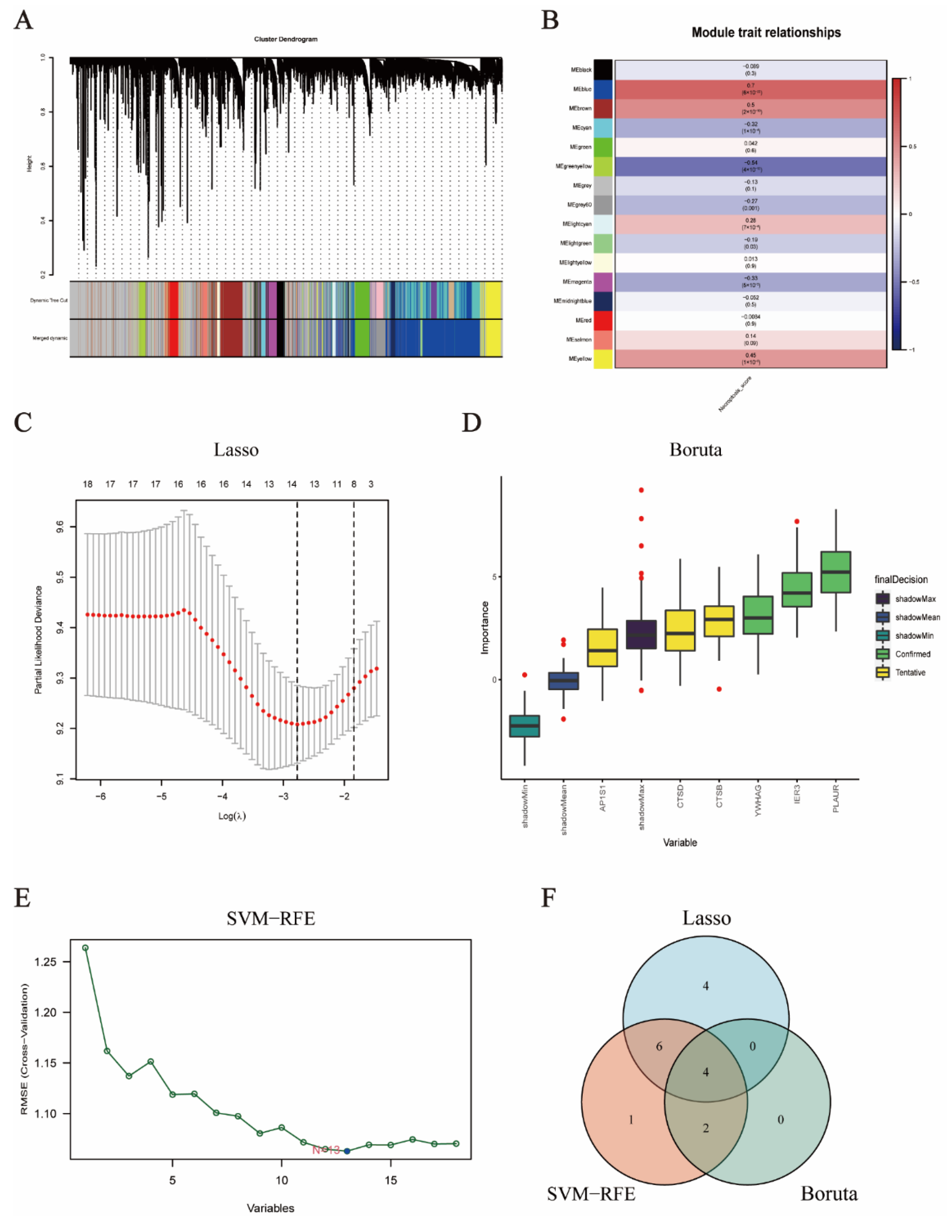 Brainsci 12 00988 g003