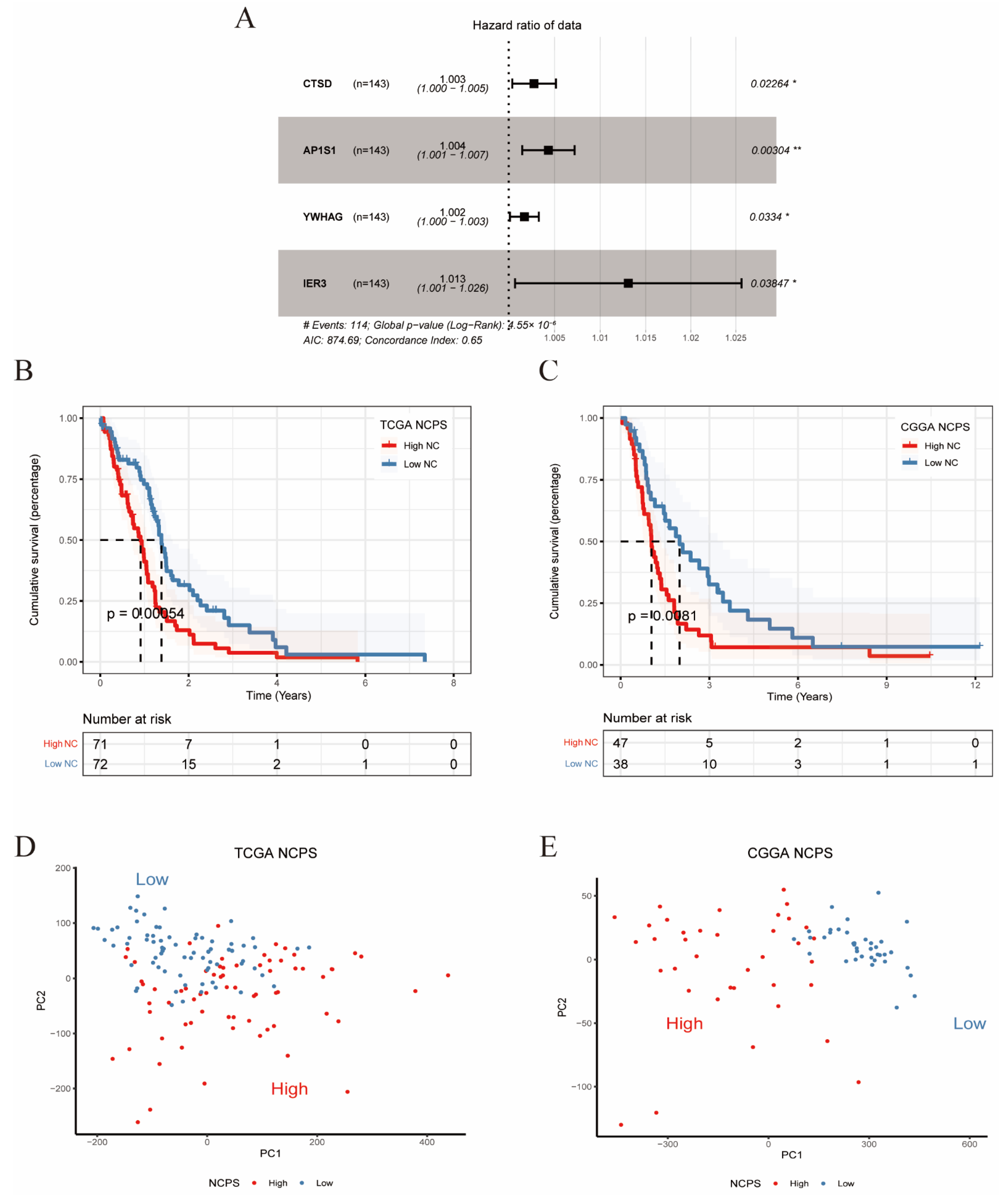 Brainsci 12 00988 g004
