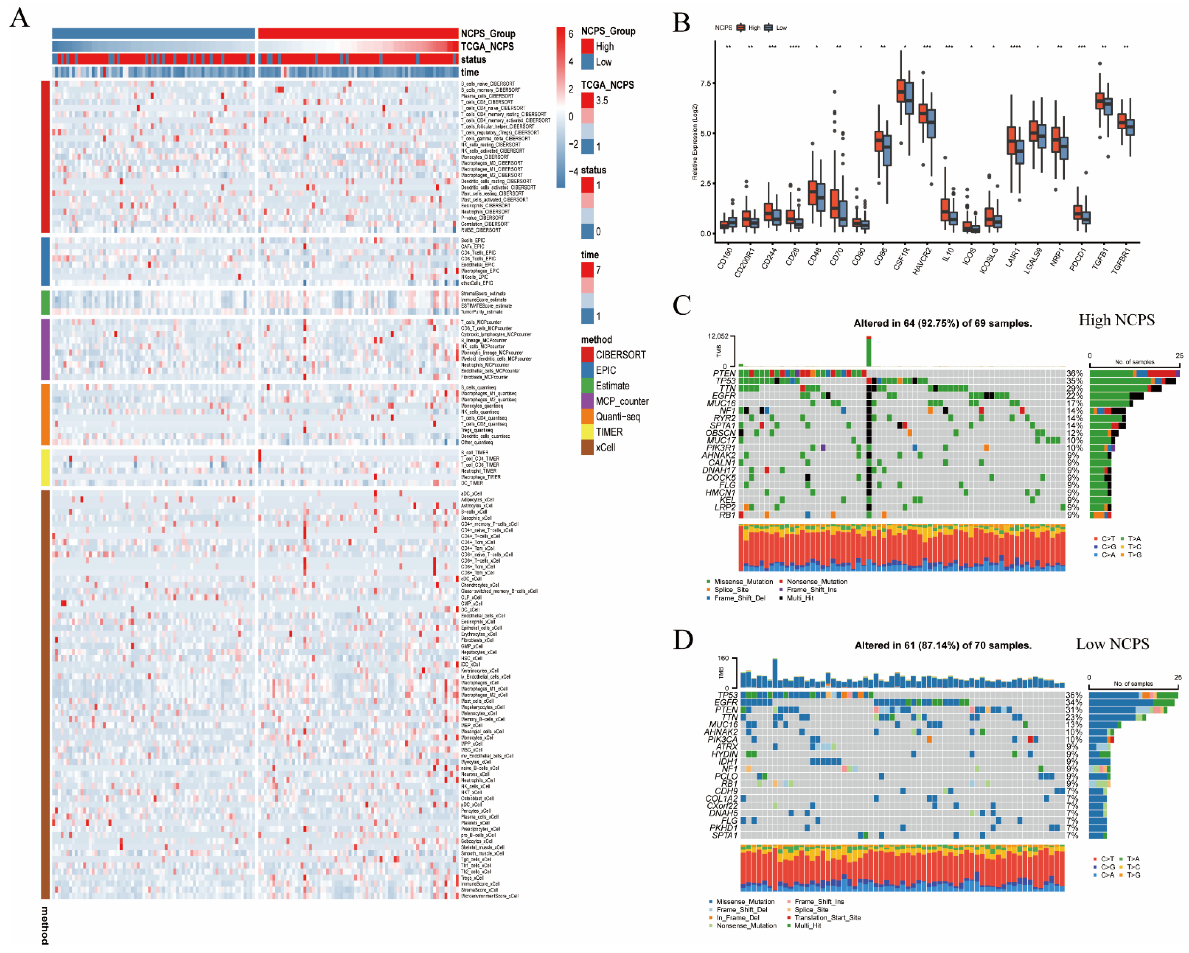 Brainsci 12 00988 g005