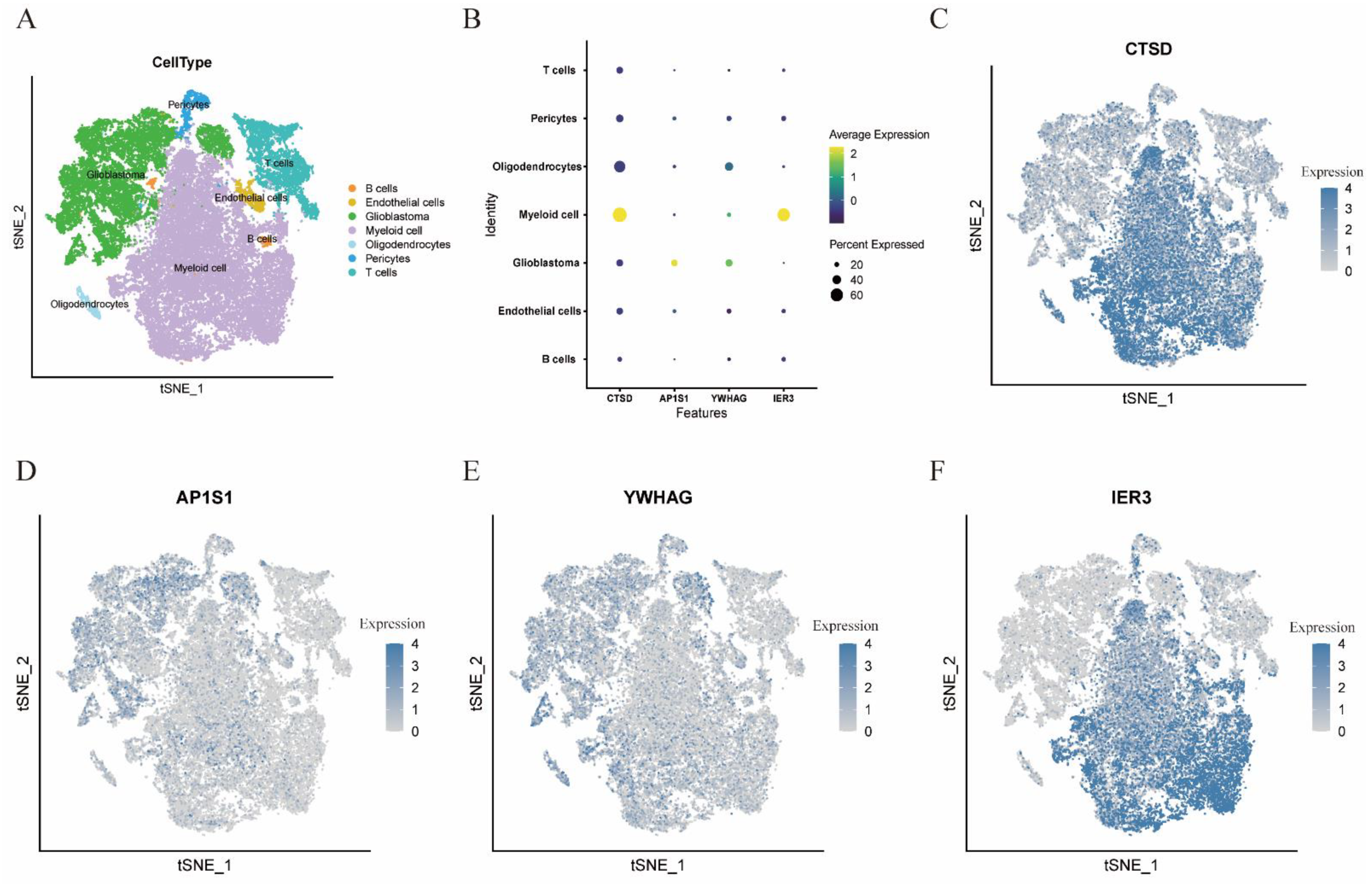 Brainsci 12 00988 g006
