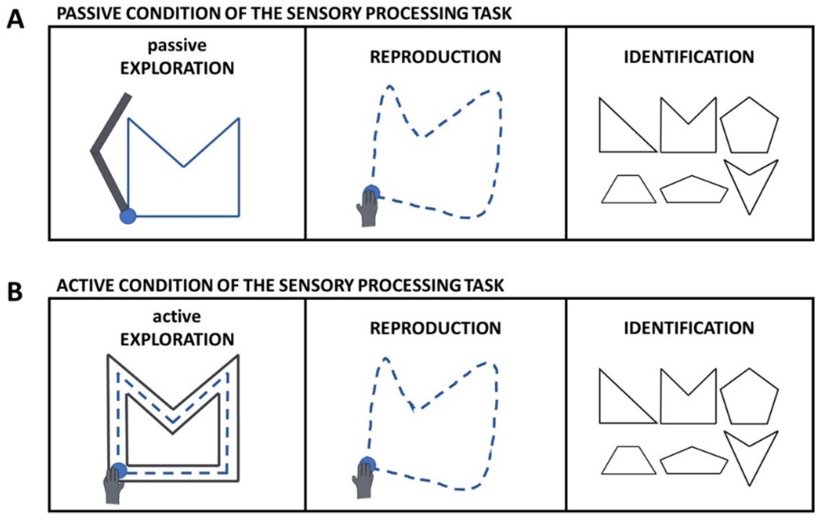 Brainsci 12 01005 g002