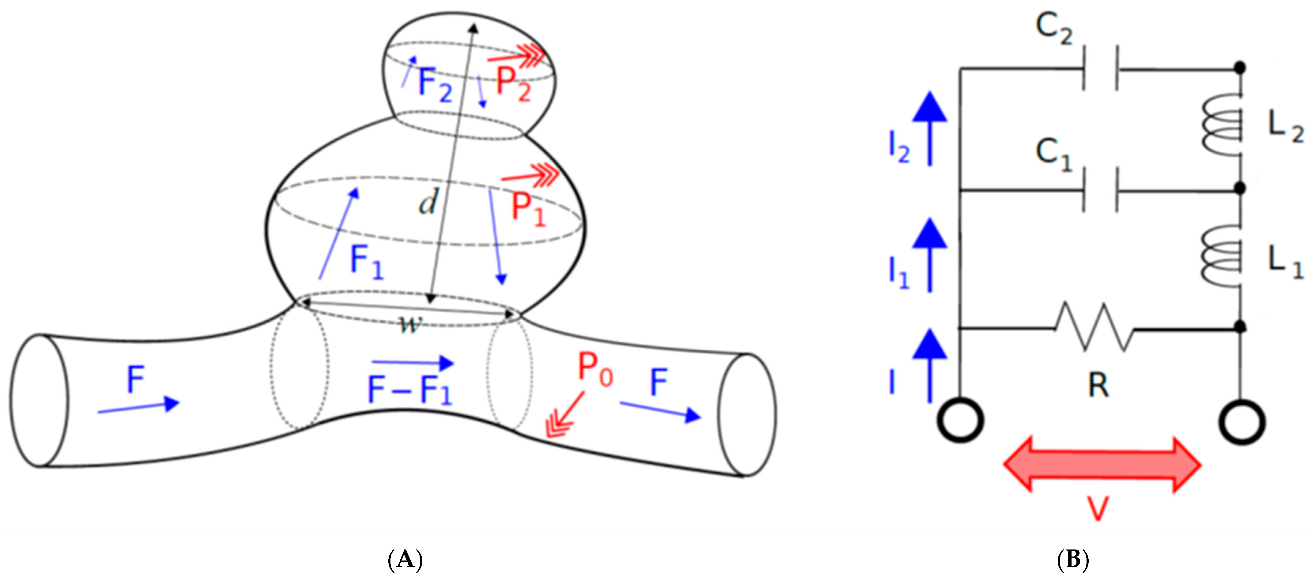 Brainsci 12 01016 g001